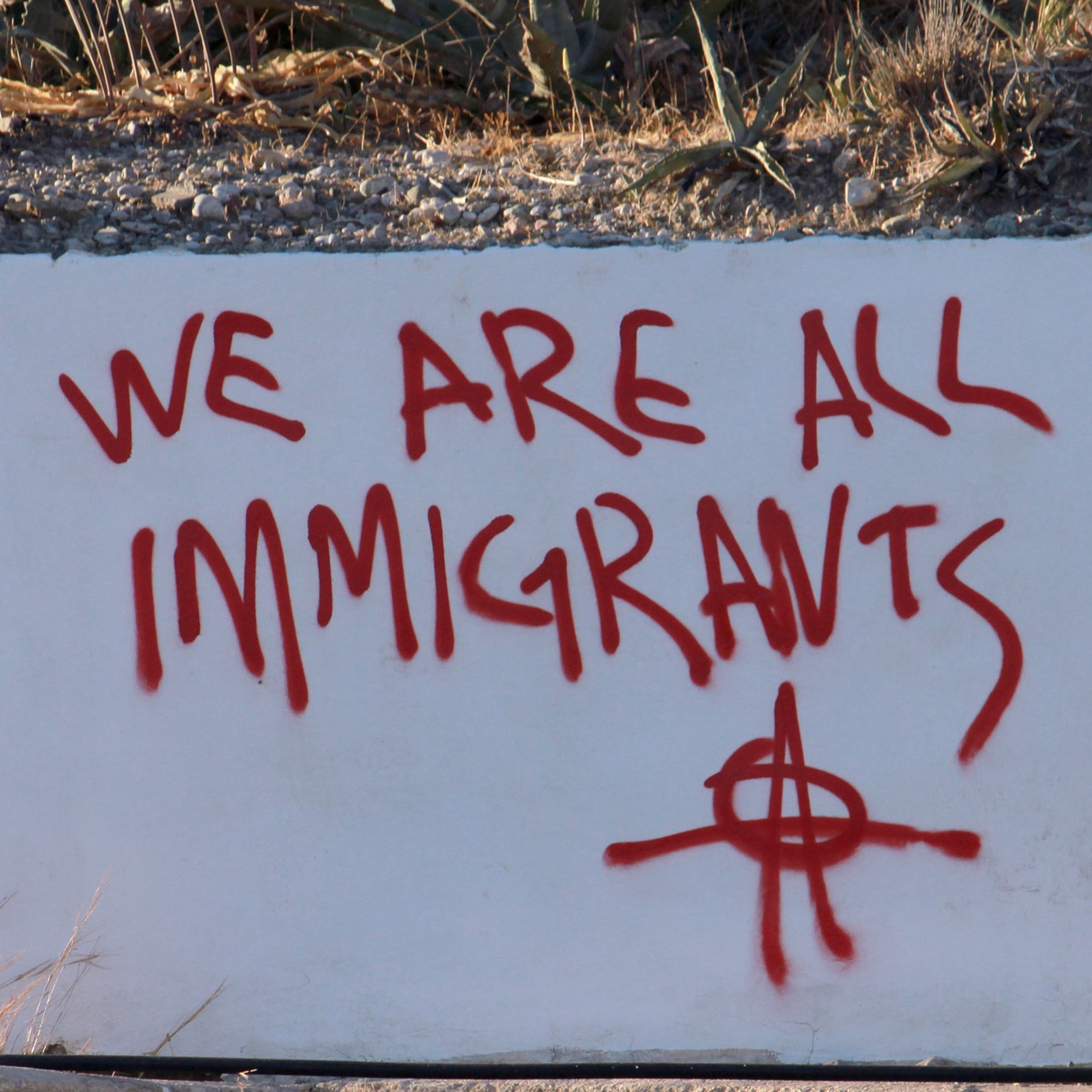 cover of episode Speciale Immigrazione