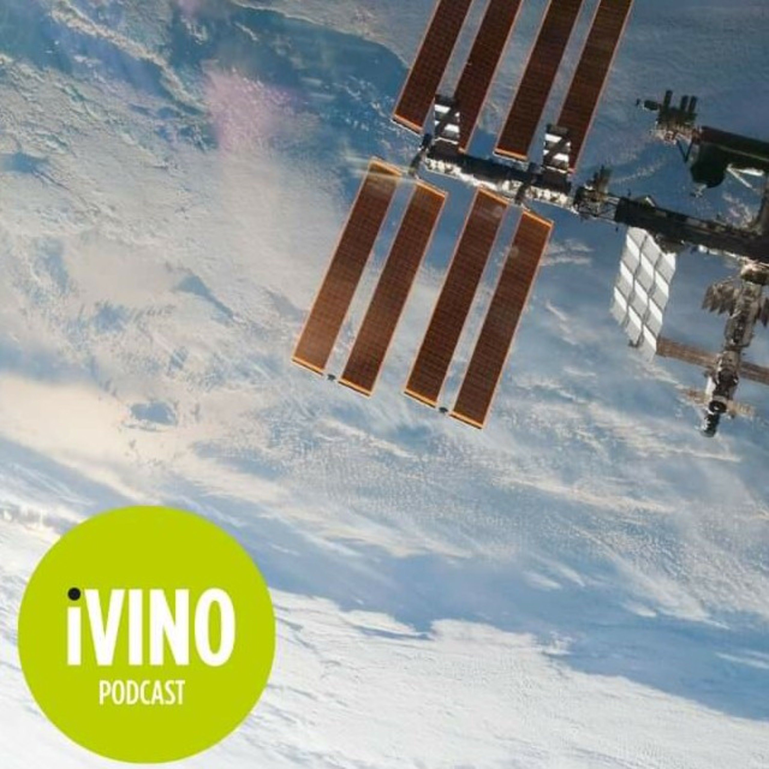 iVINO