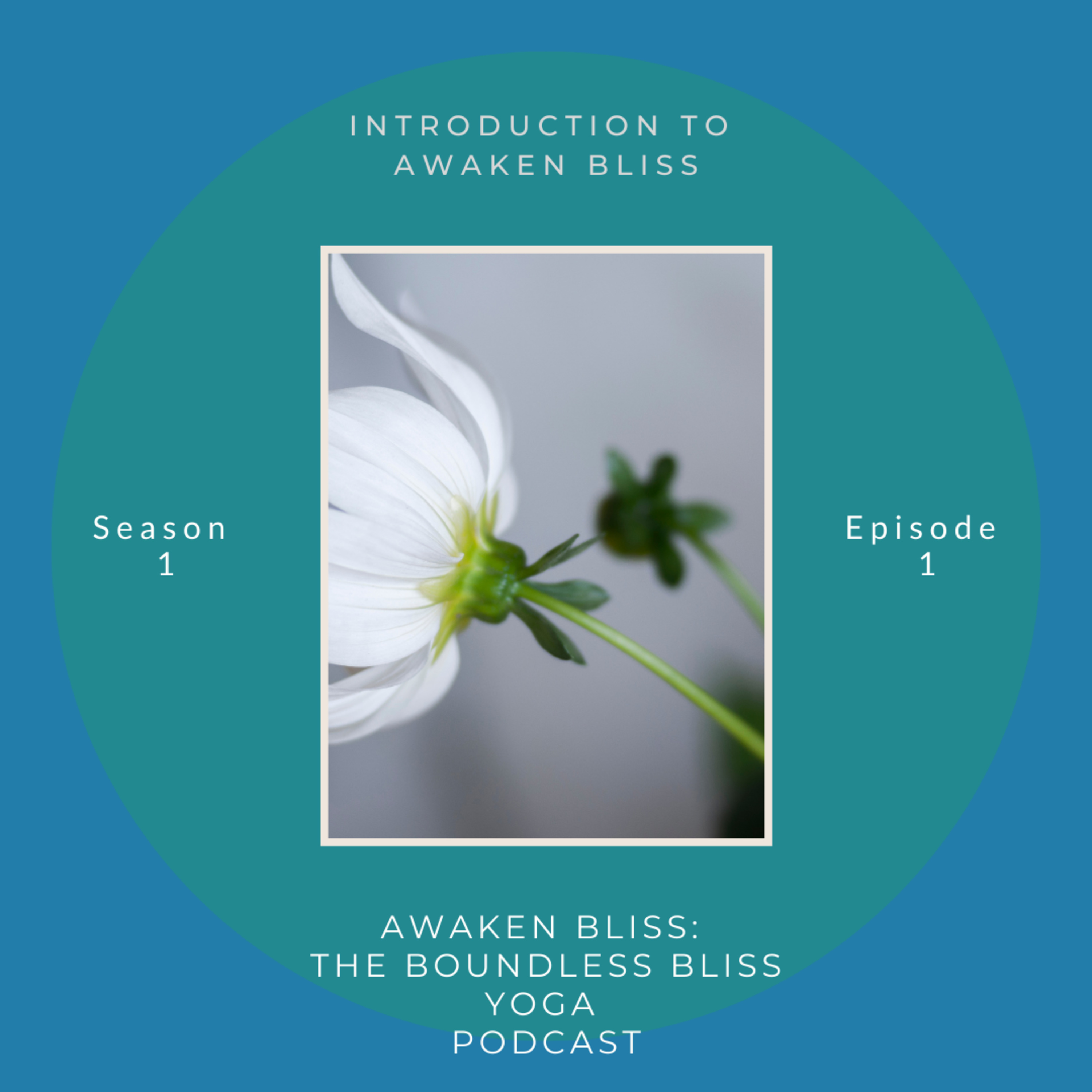 Awaken Bliss: The Boundless Bliss Yoga Podcast