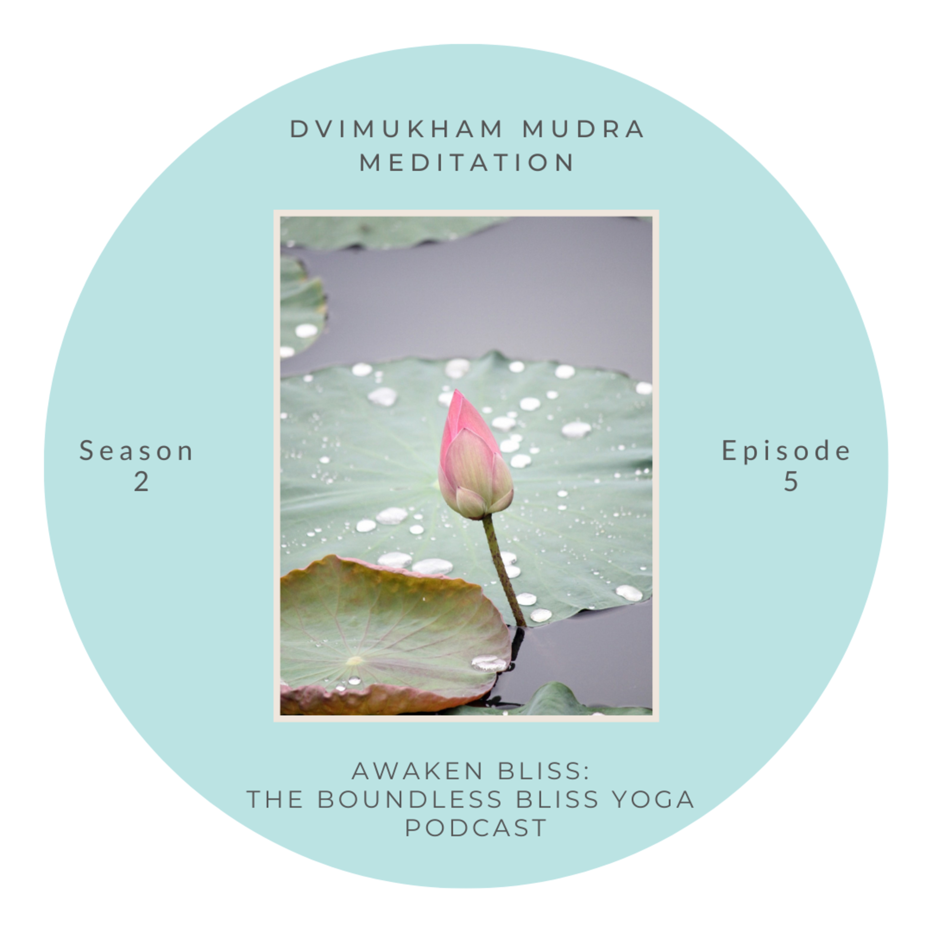 Dvimukham Mudra Meditation episode artwork