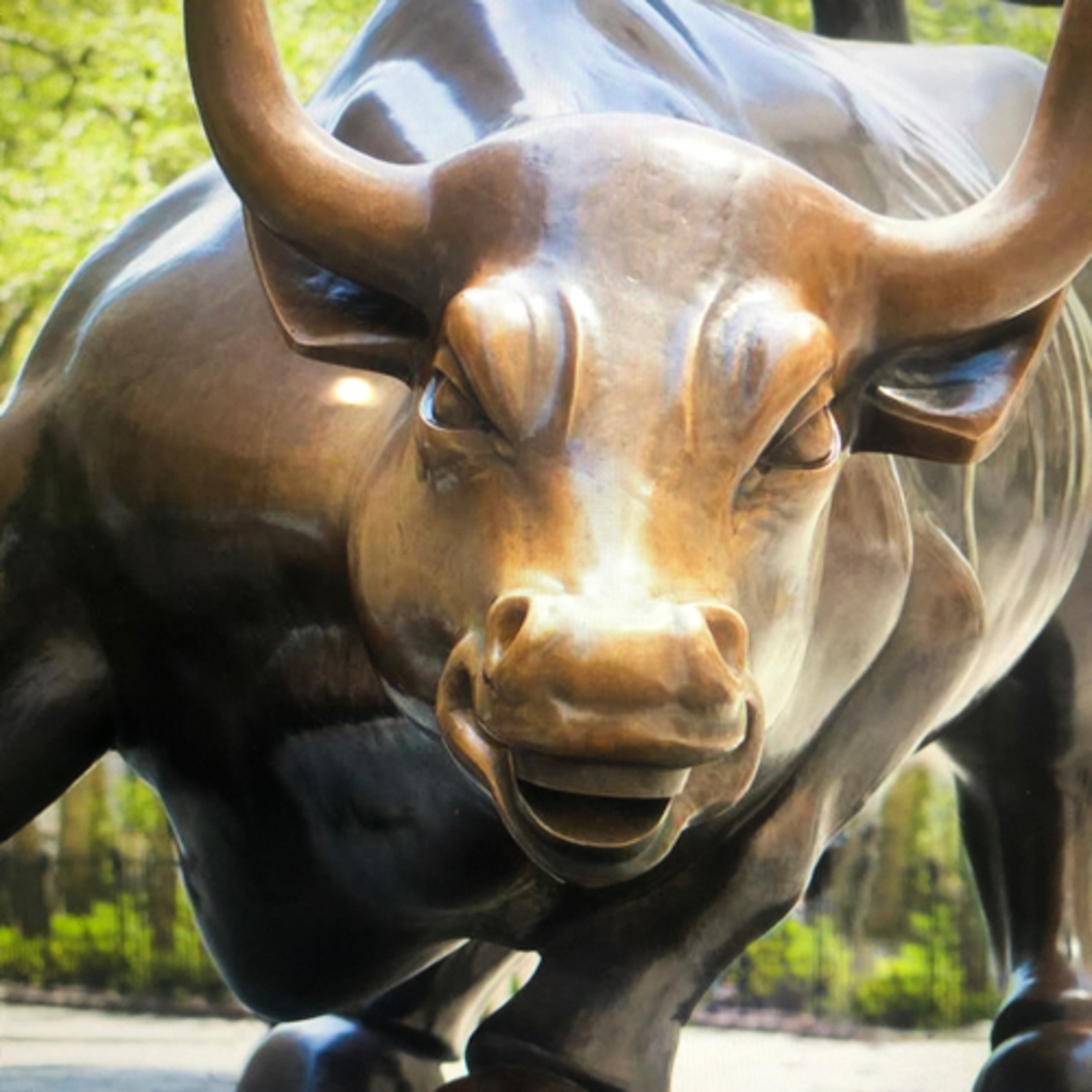 Stock Trading for Beginners