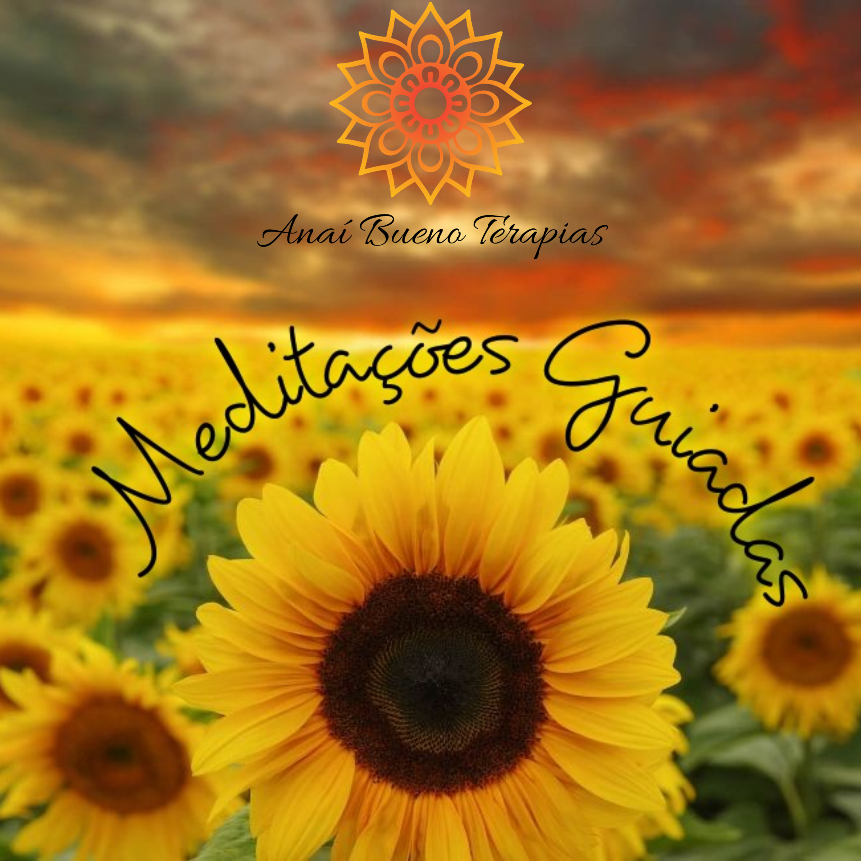 Meditação dos chakras  episode artwork