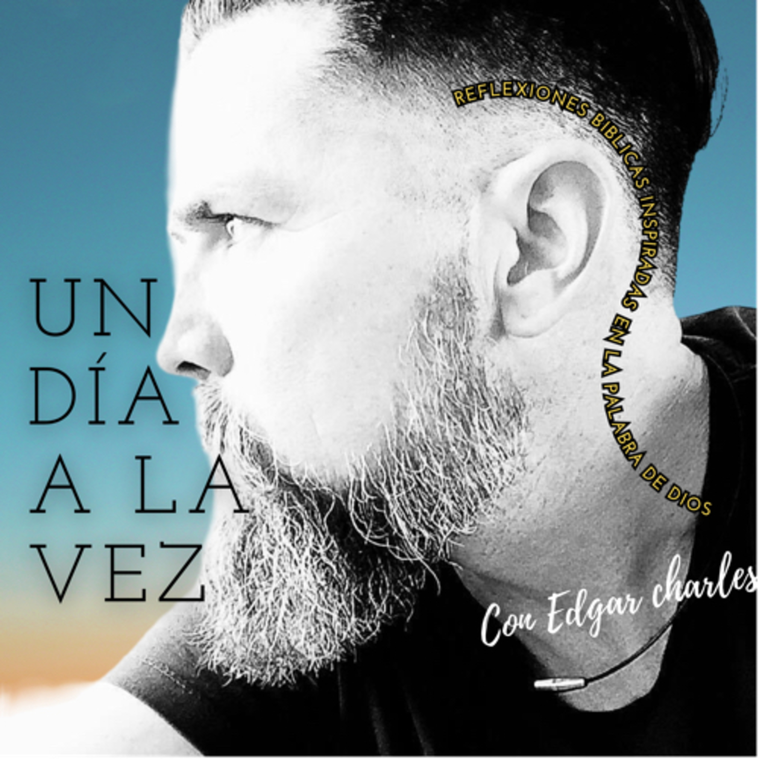 Portada de En red ES