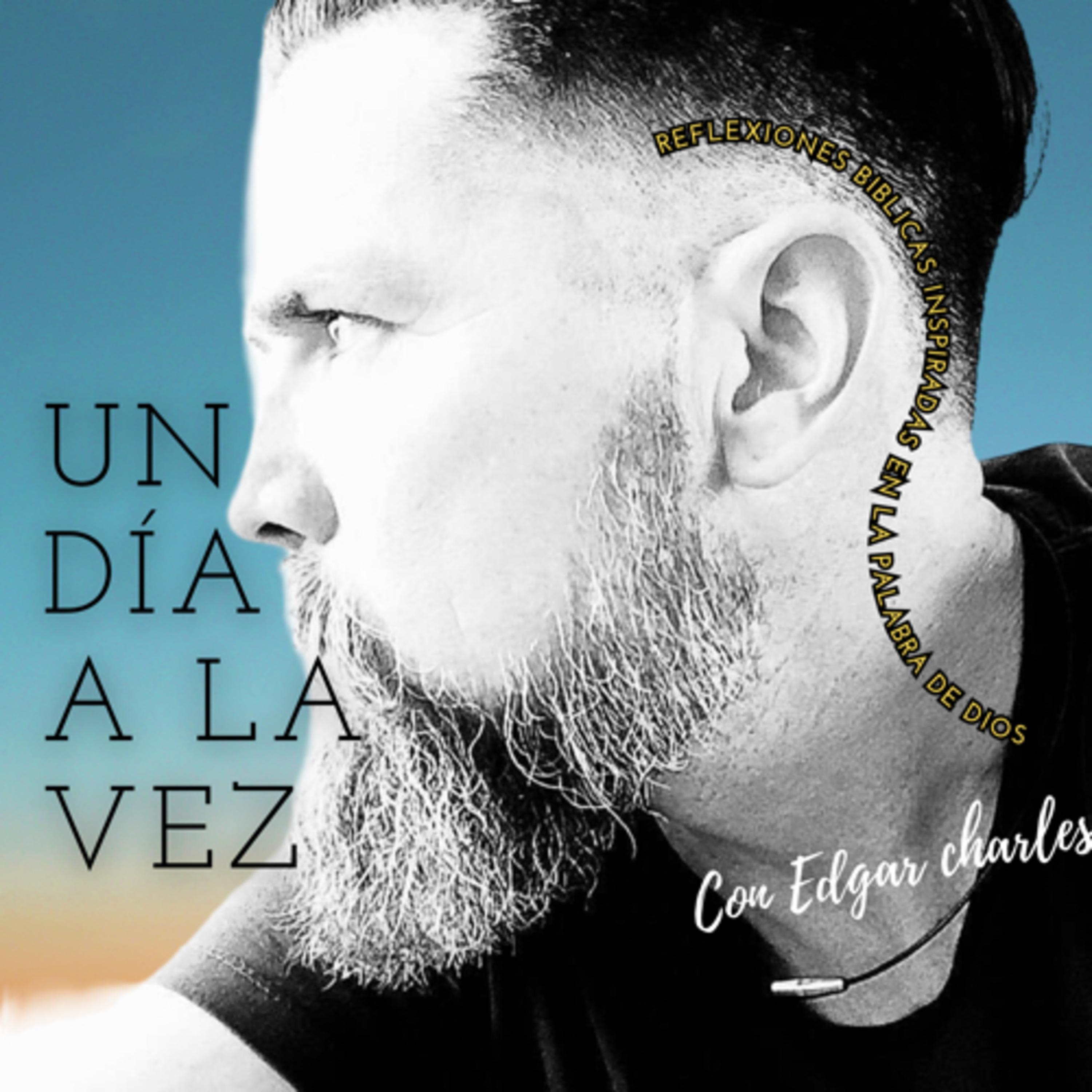 Portada de En red ES