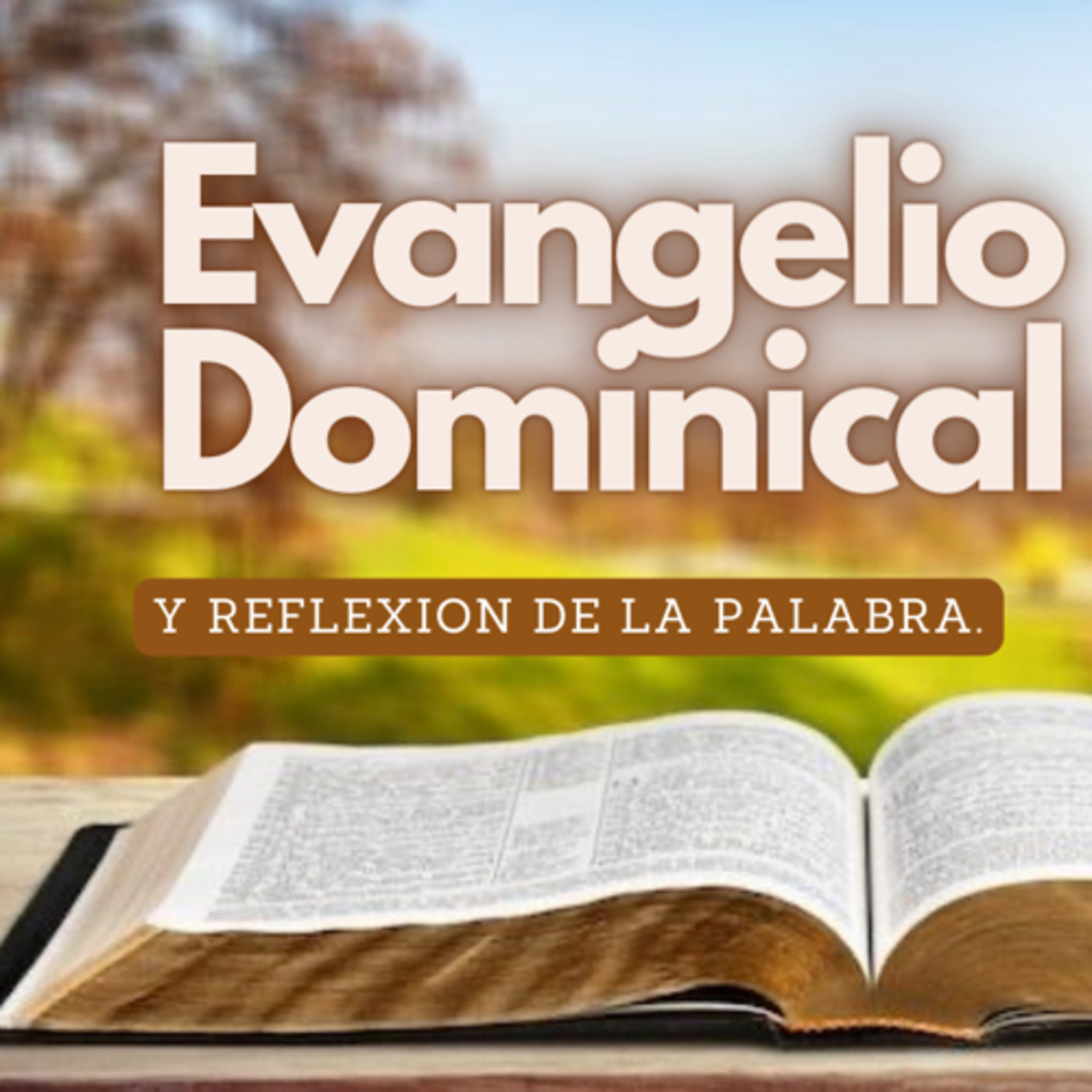 Evangelio dominical  episode artwork