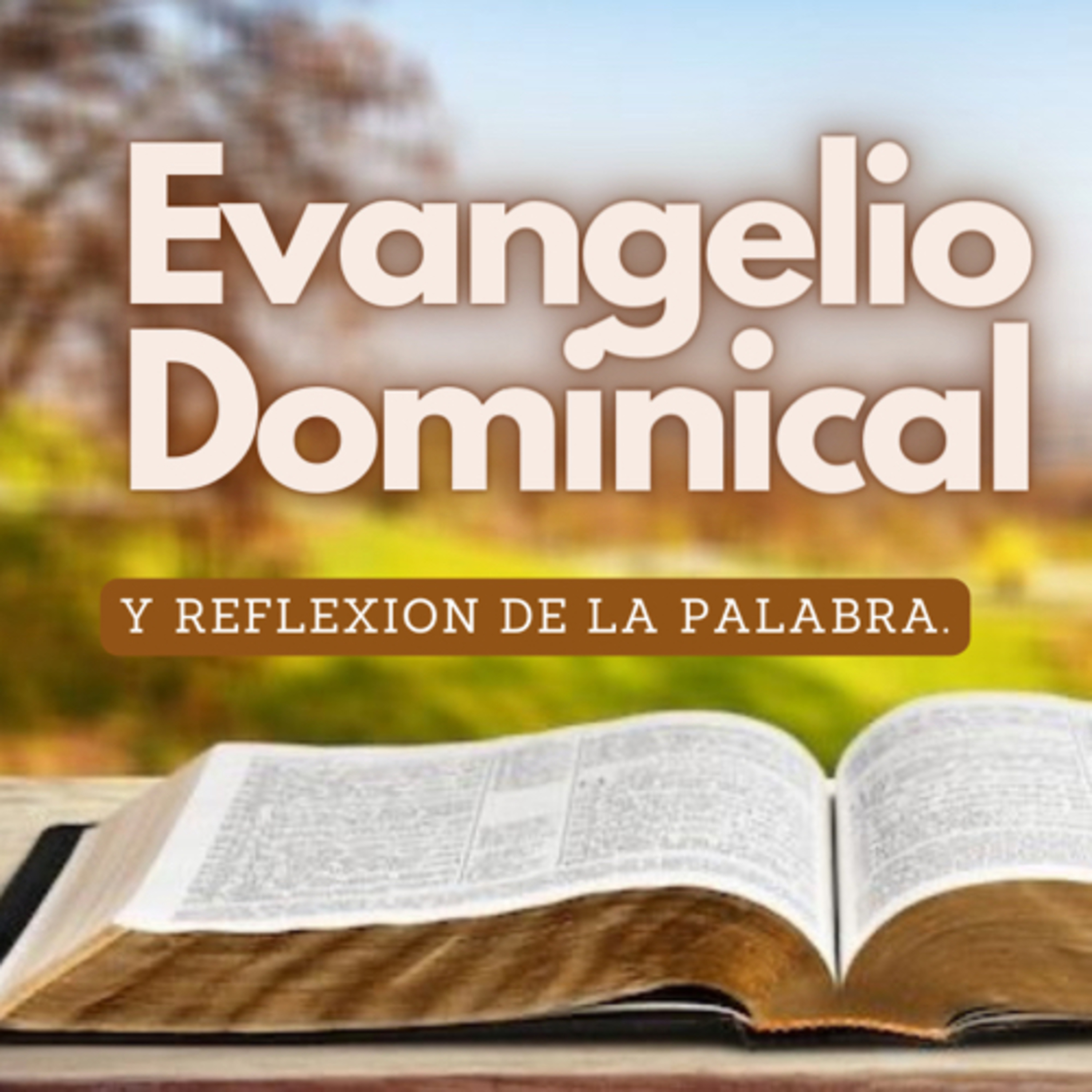 Portada de En red ES