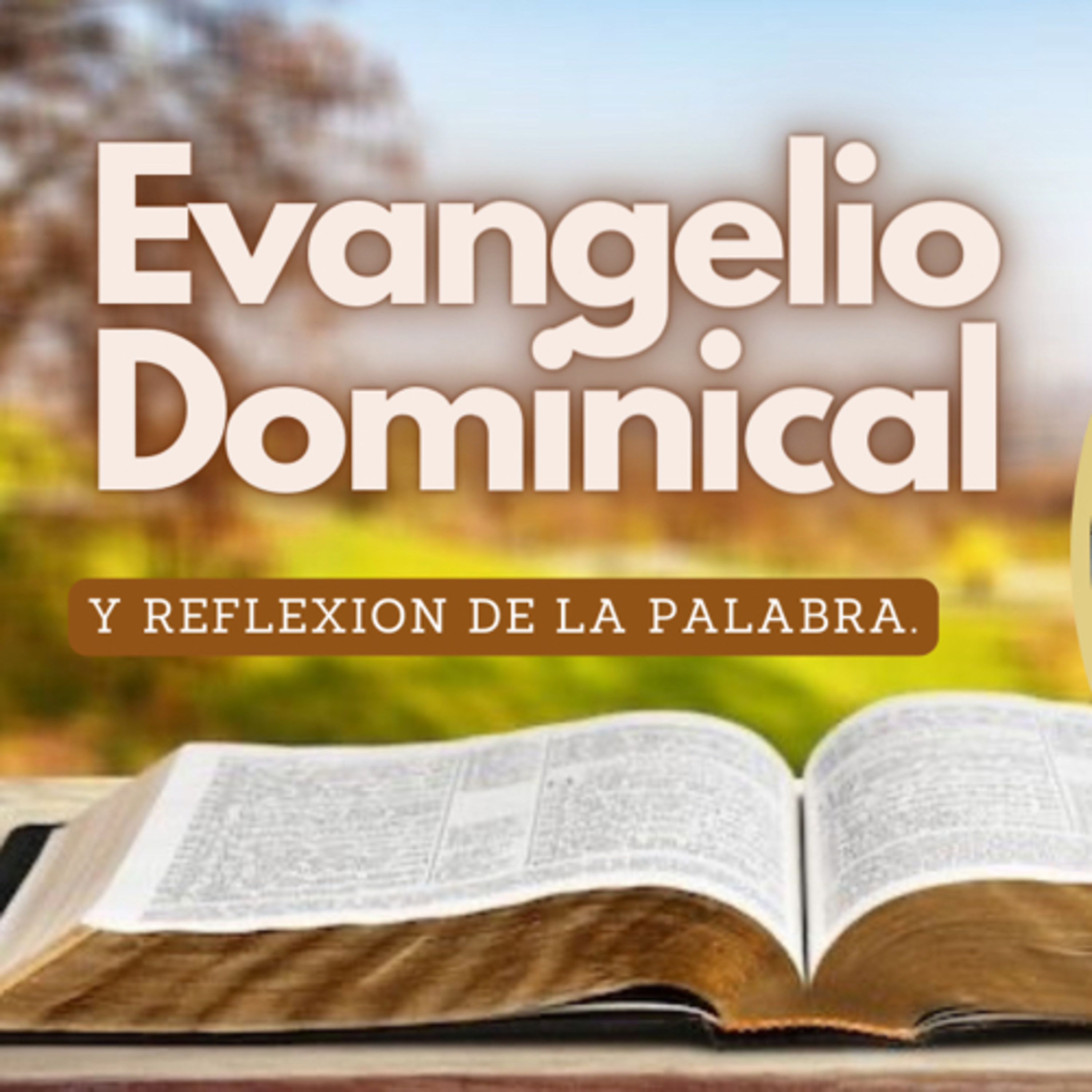 Evangelio dominical episode artwork