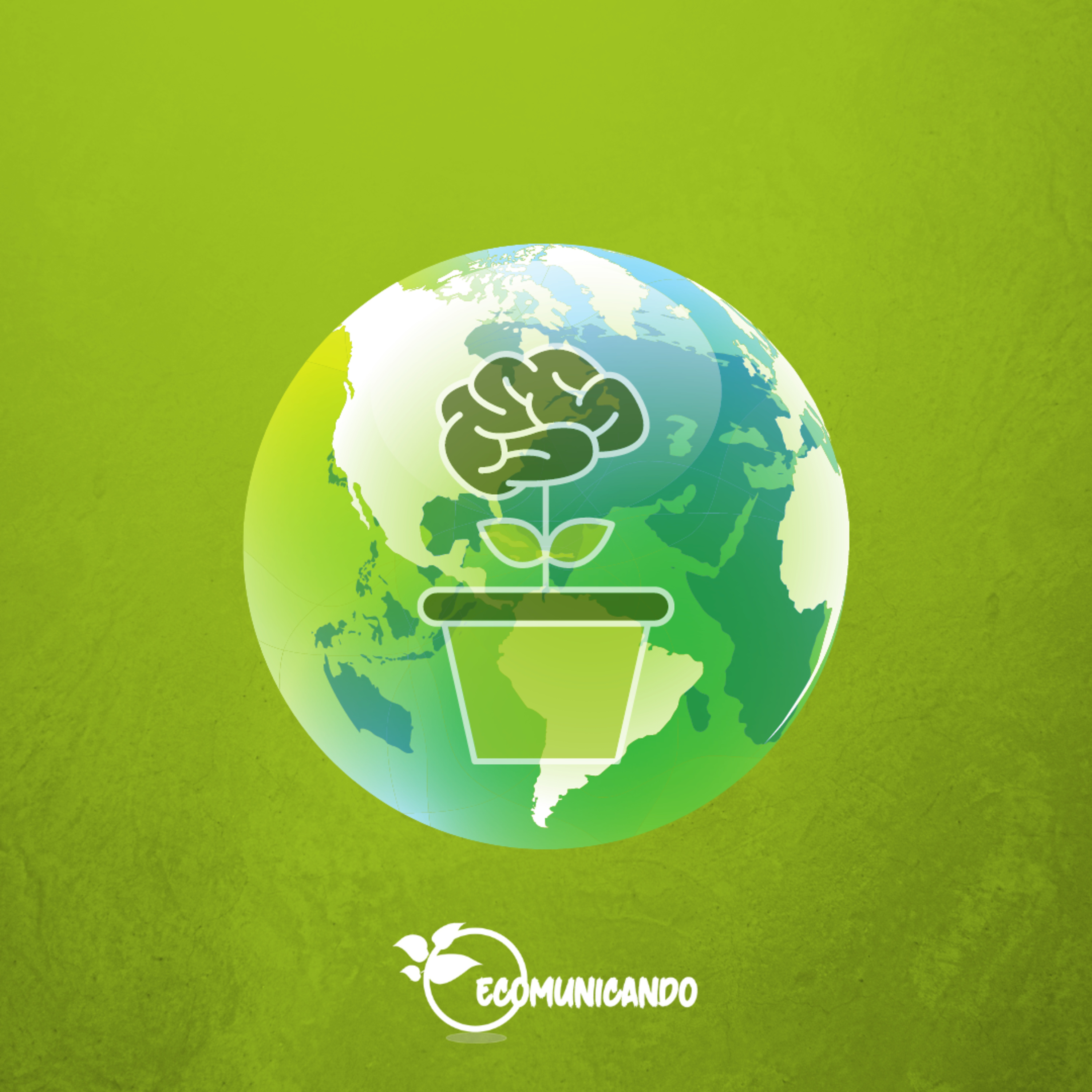 ECOMUNICANDO - UFPE