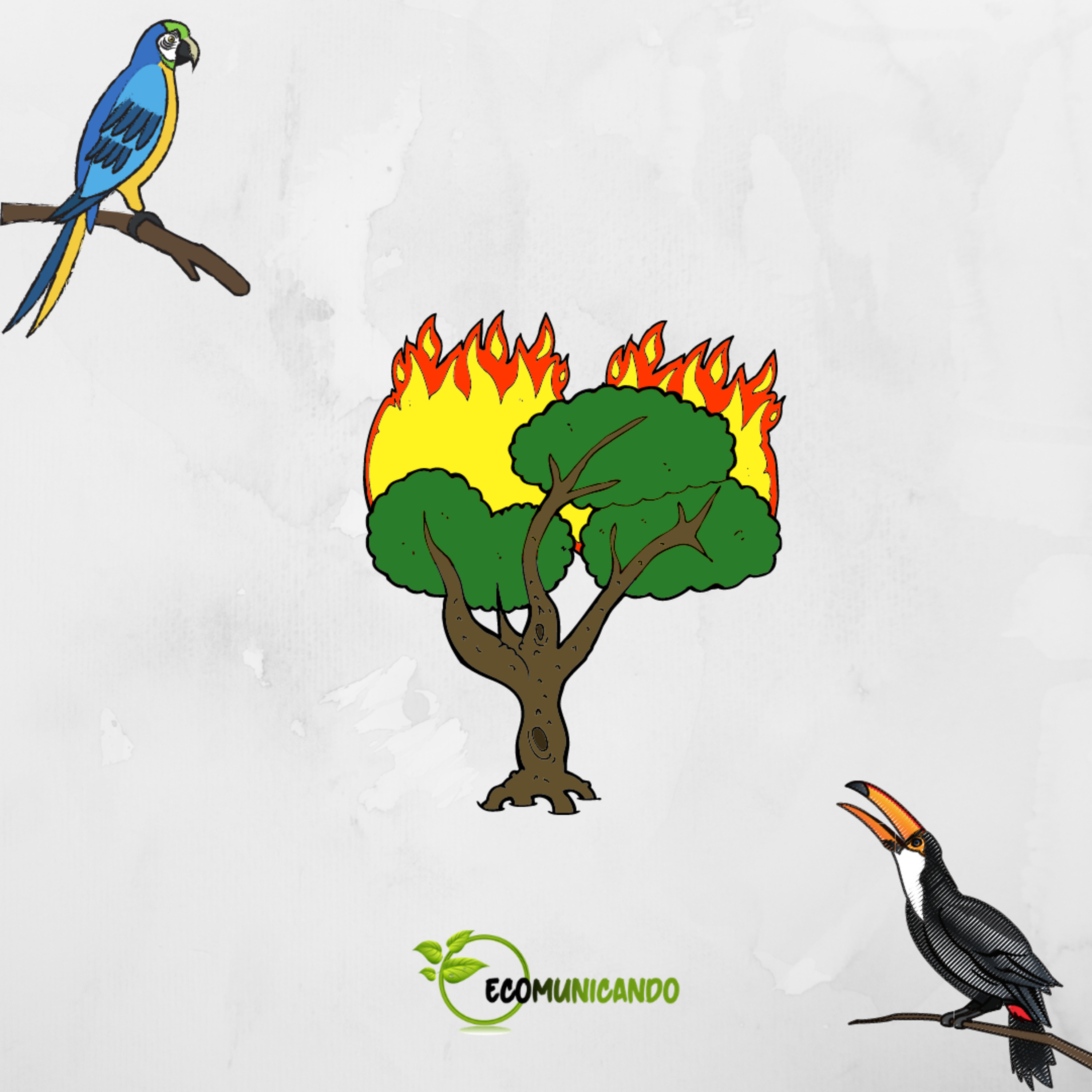 ECOMUNICANDO - UFPE