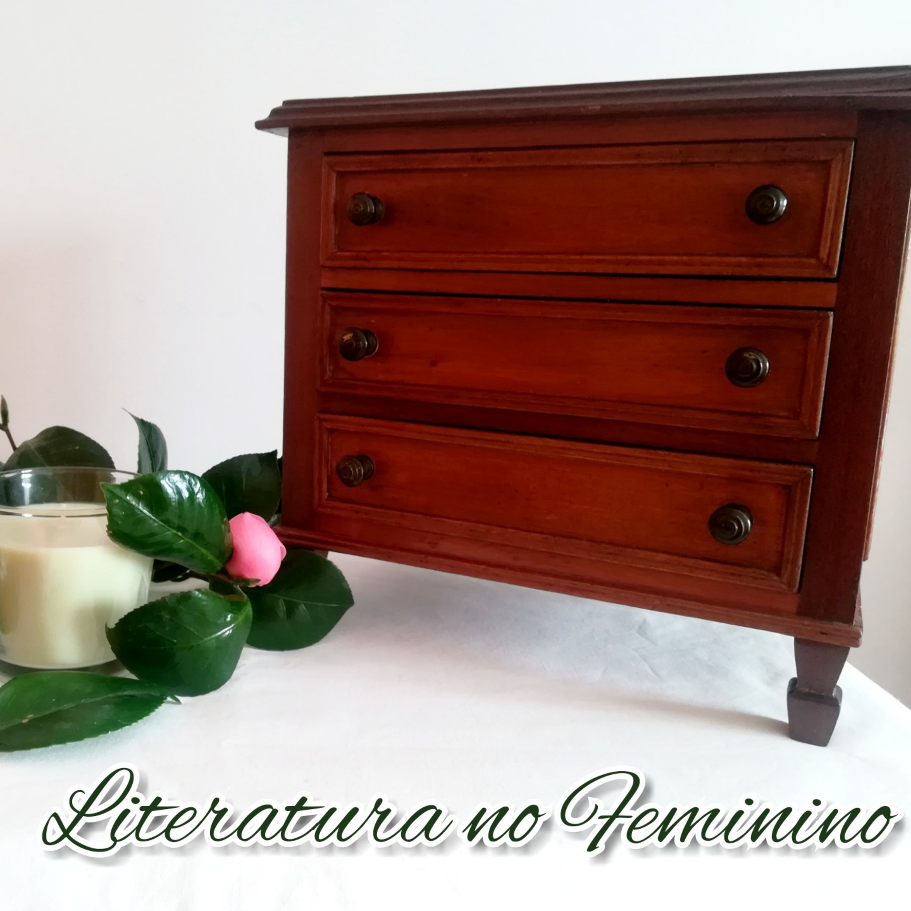 A Estante De Livros