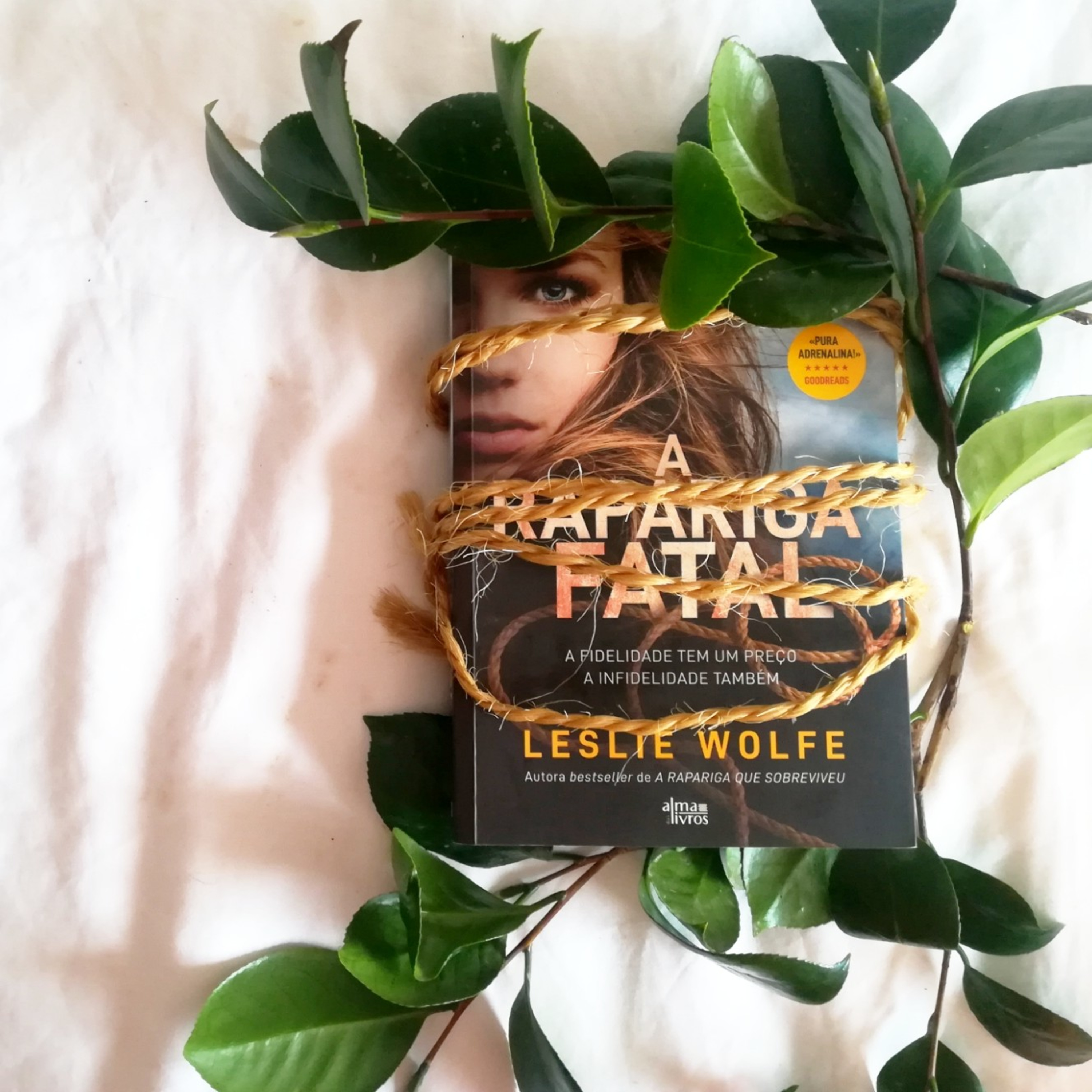 A Estante De Livros