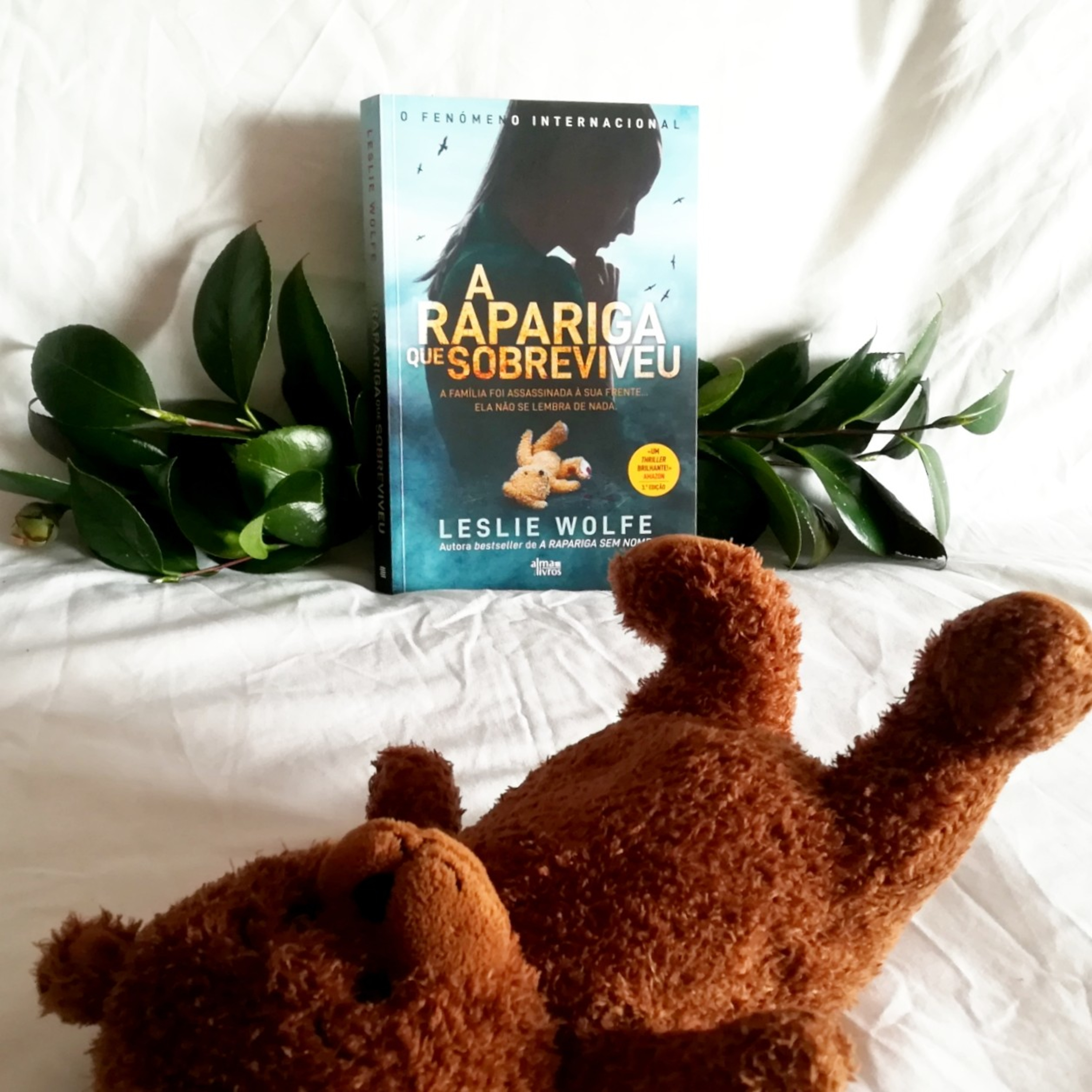 A Estante De Livros