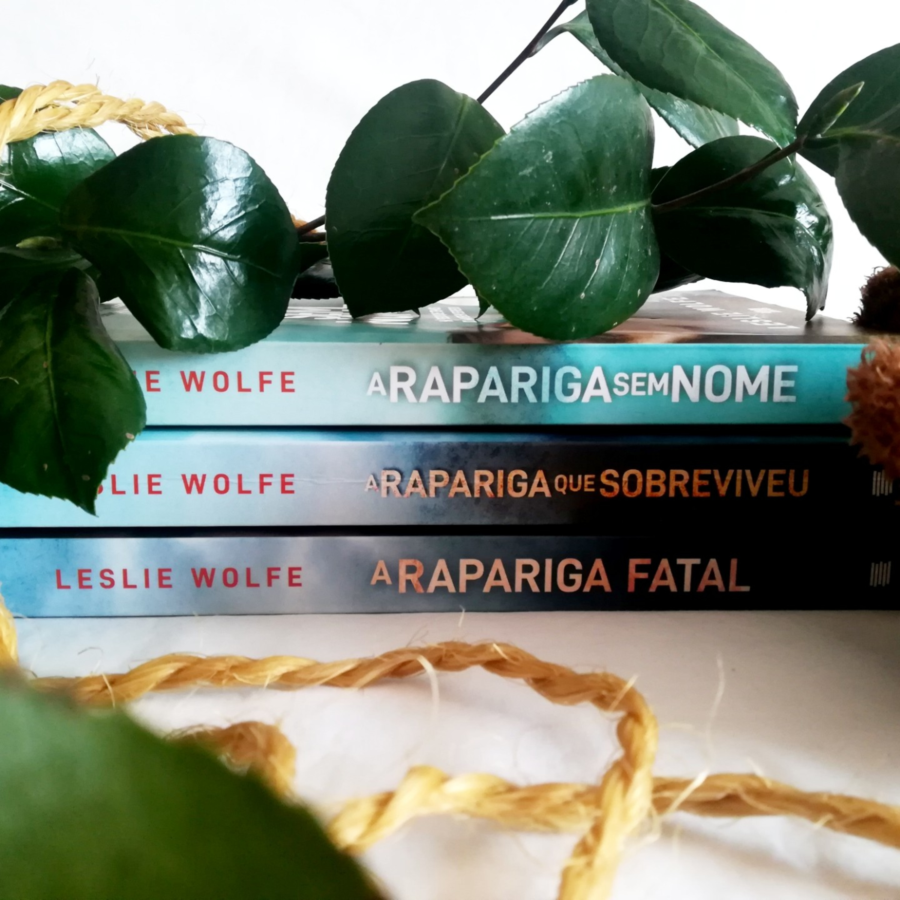 A Estante De Livros