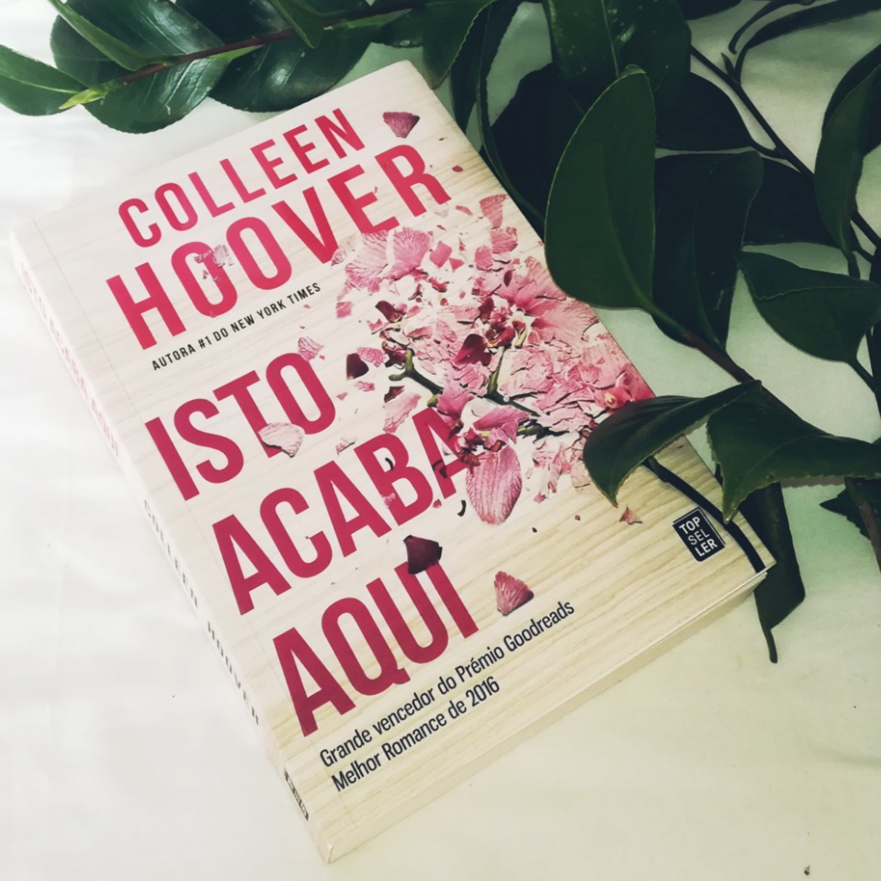 A Estante De Livros