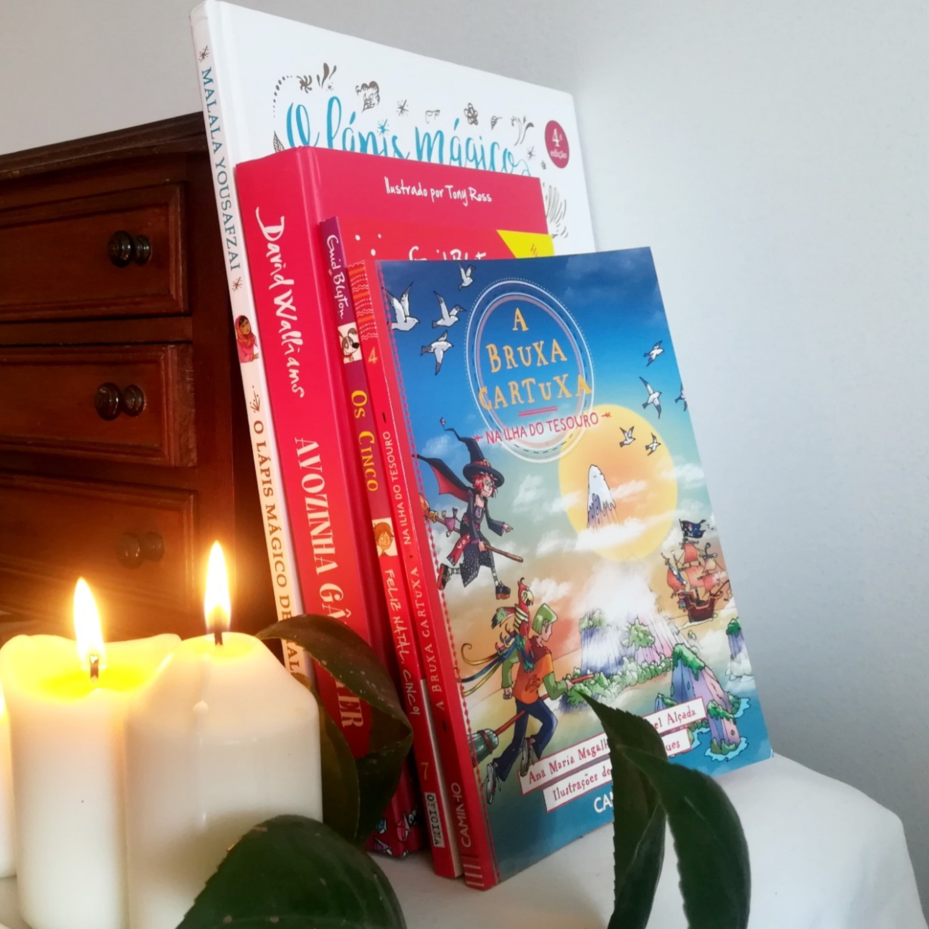 A Estante De Livros