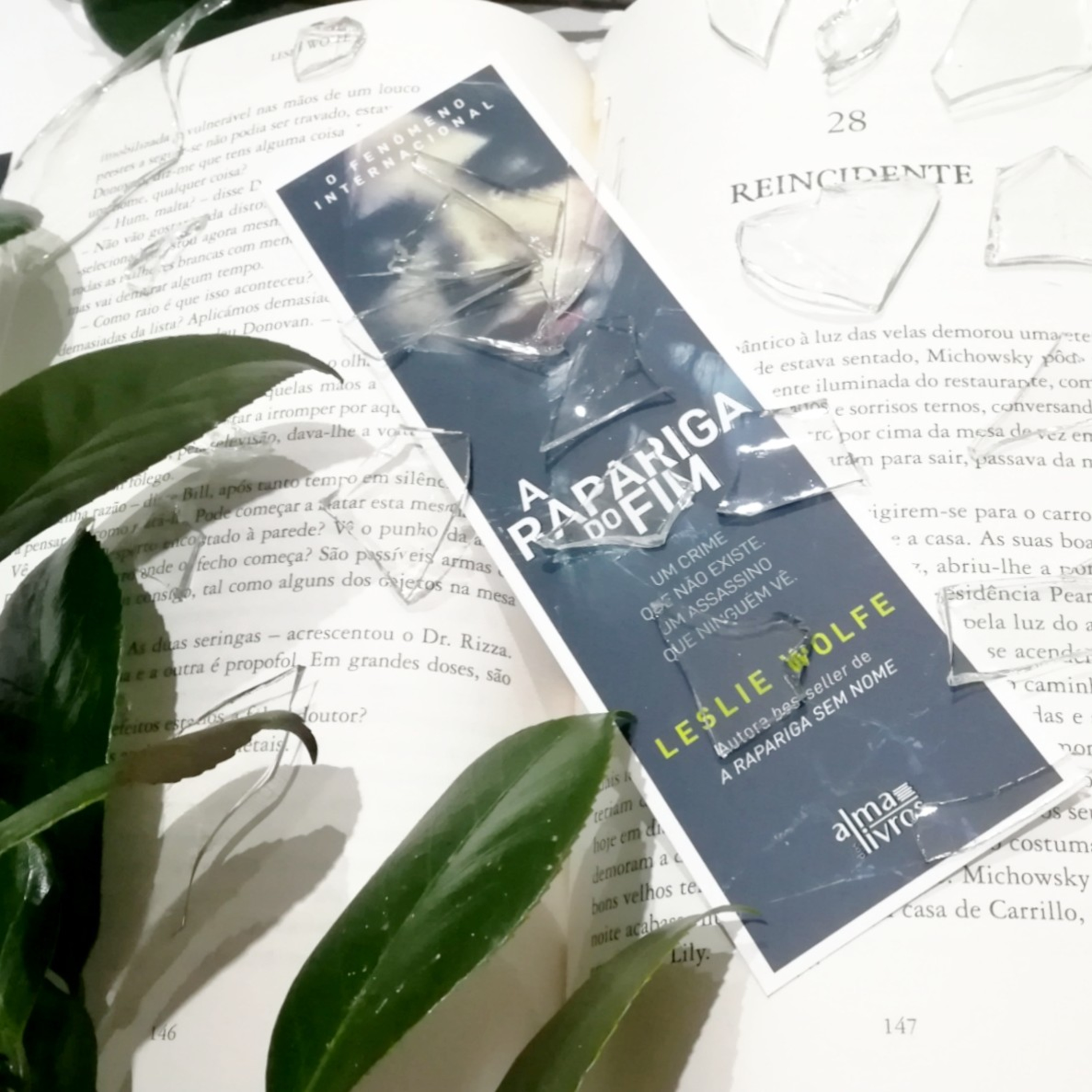 A Estante De Livros