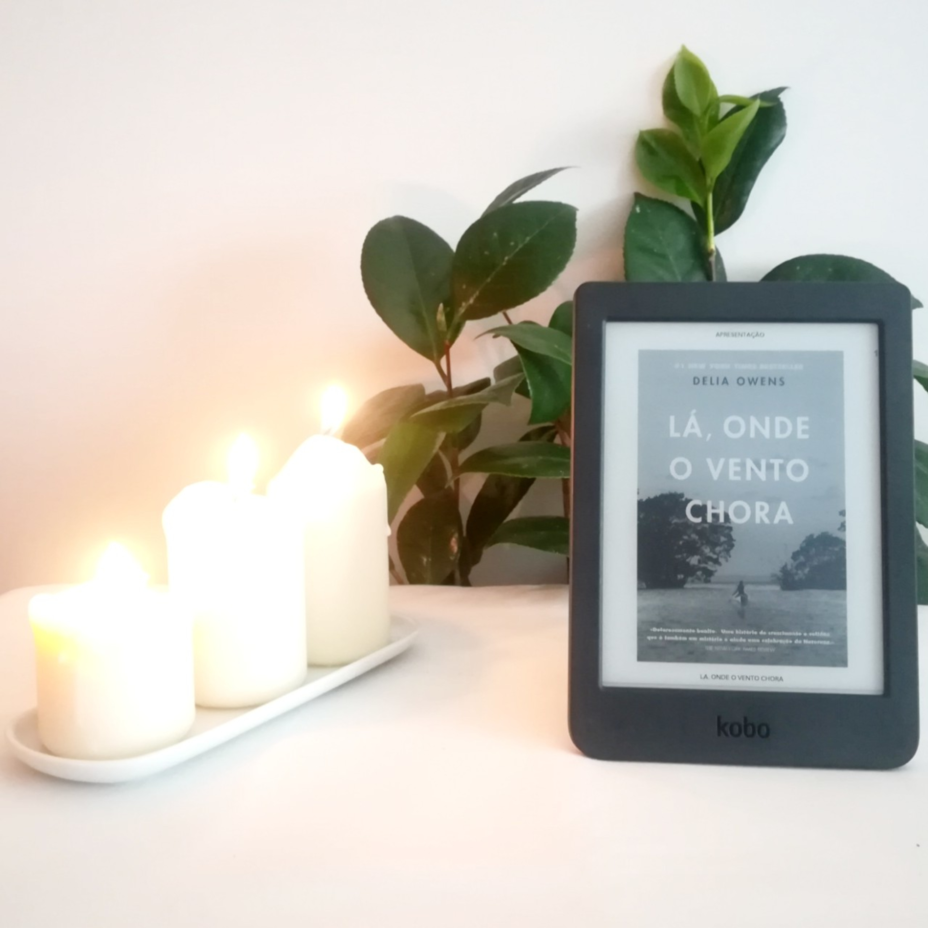 A Estante De Livros