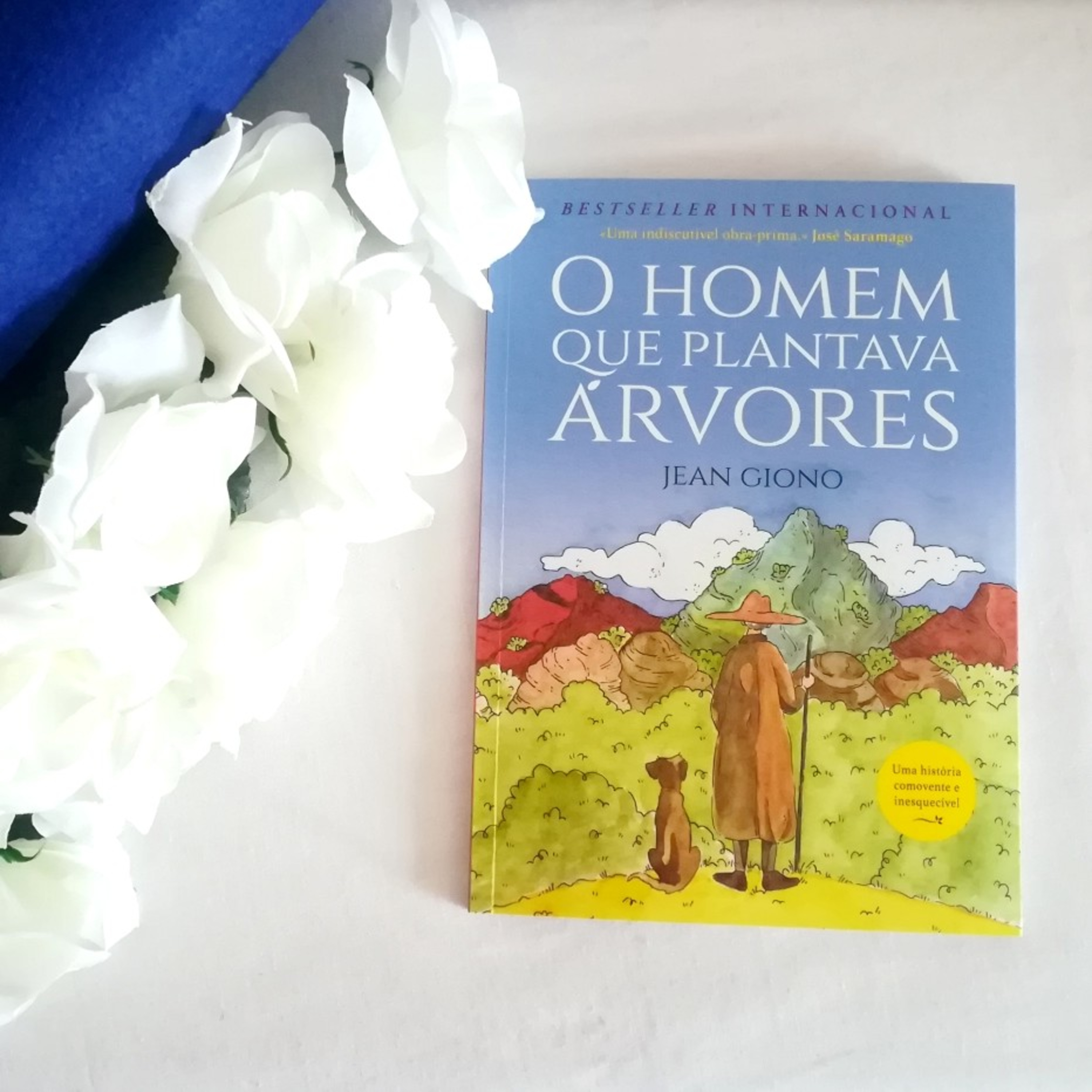 A Estante De Livros