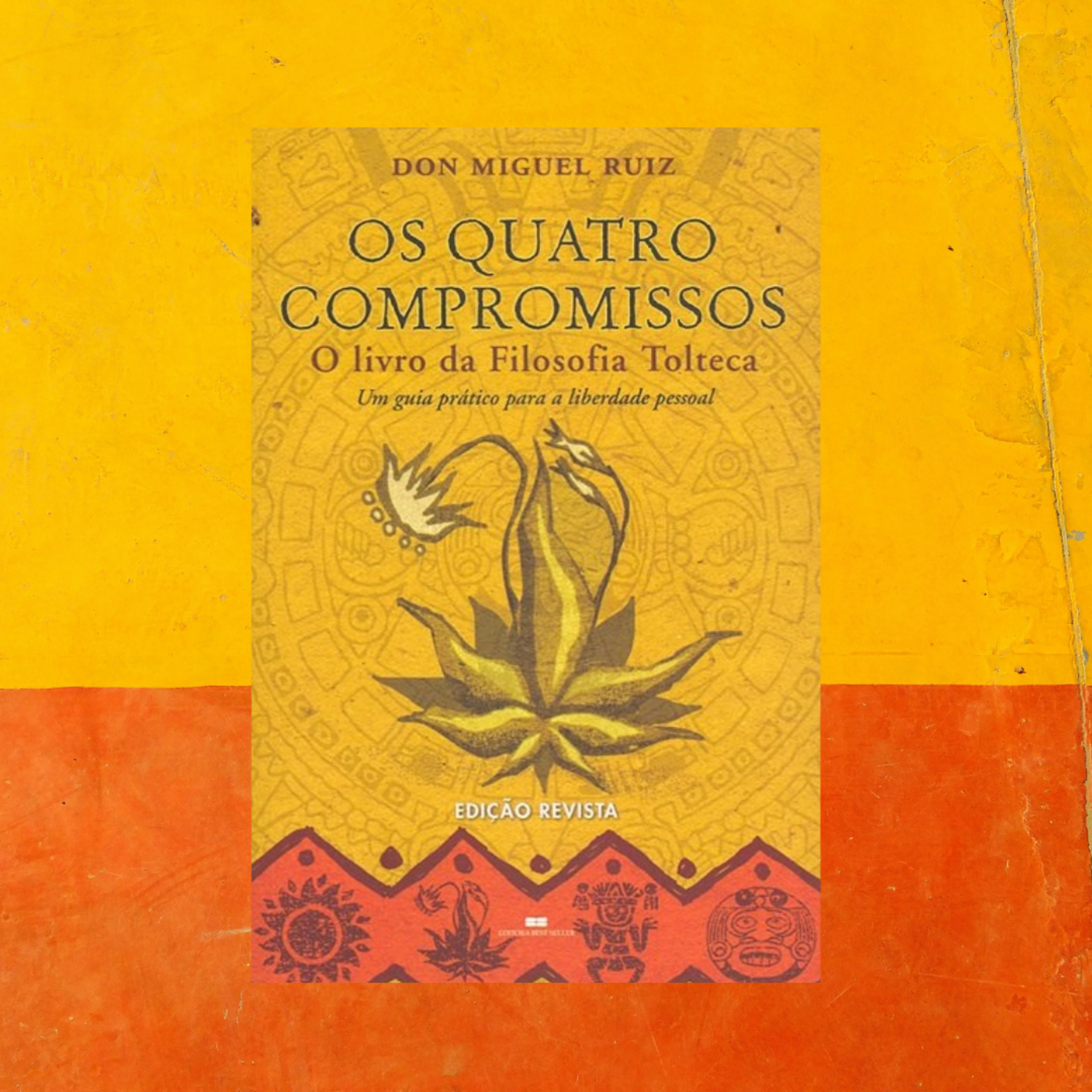 Uma Voz Na Escuridão - Resumo de Livros