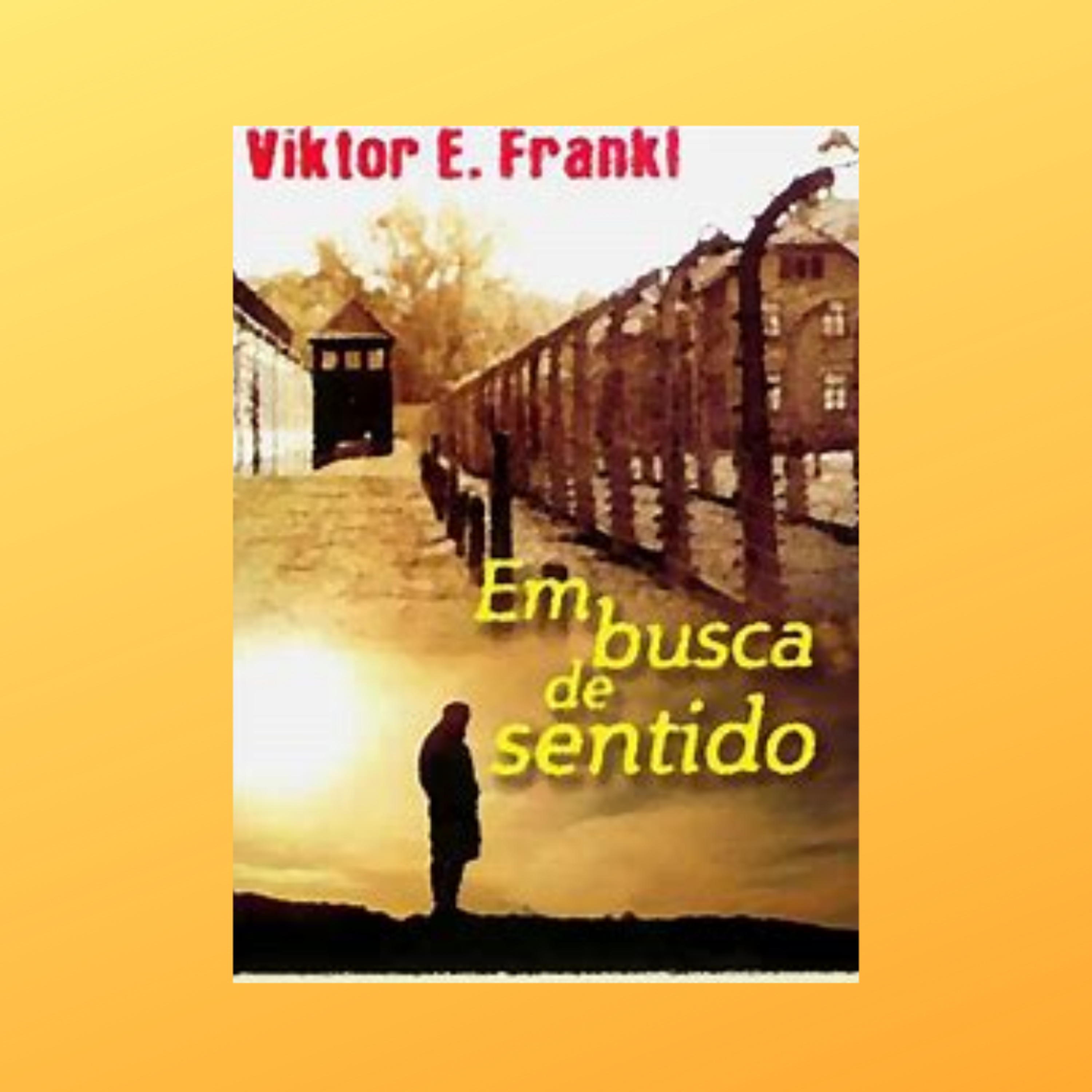 Uma Voz Na Escuridão - Resumo de Livros