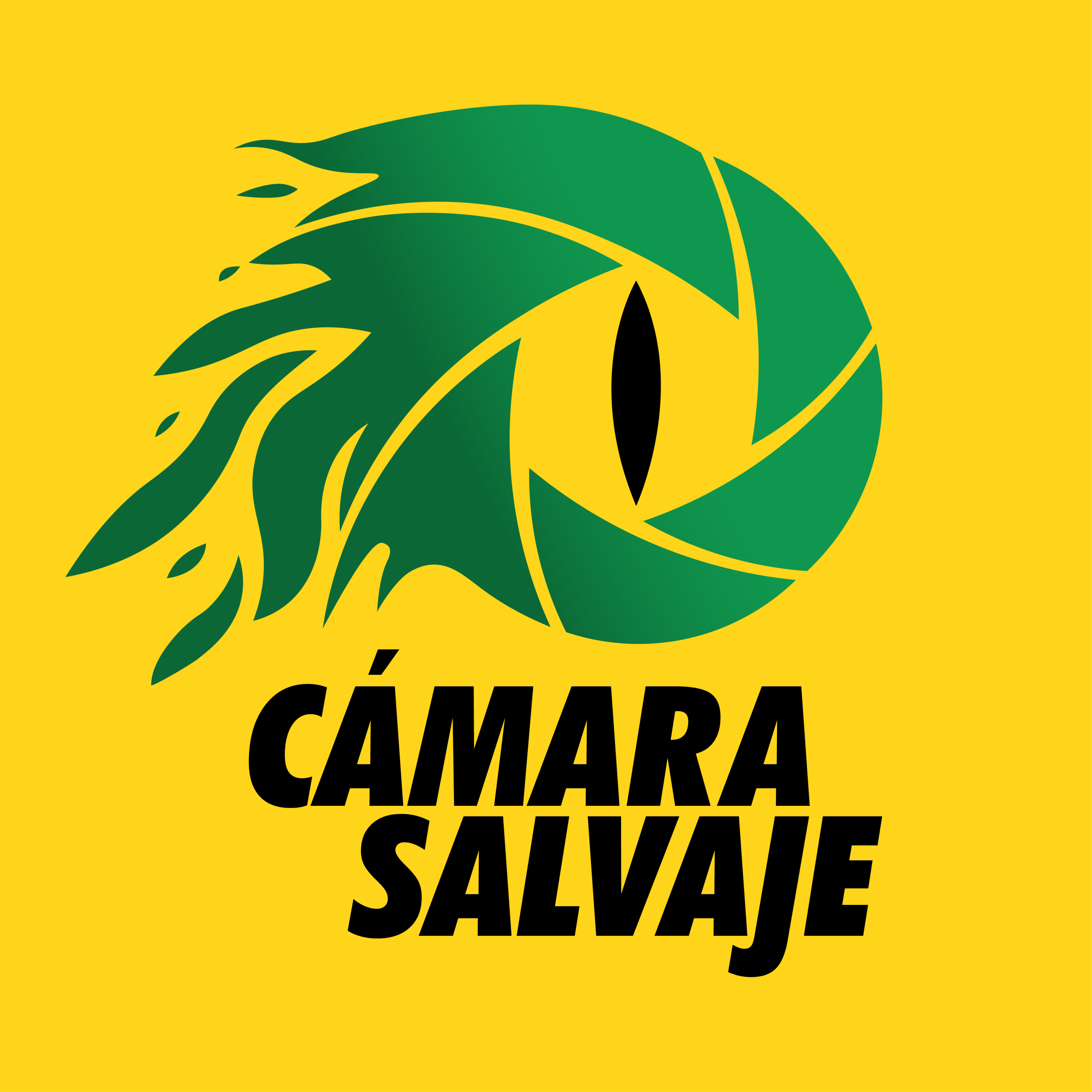 Cámara Salvaje