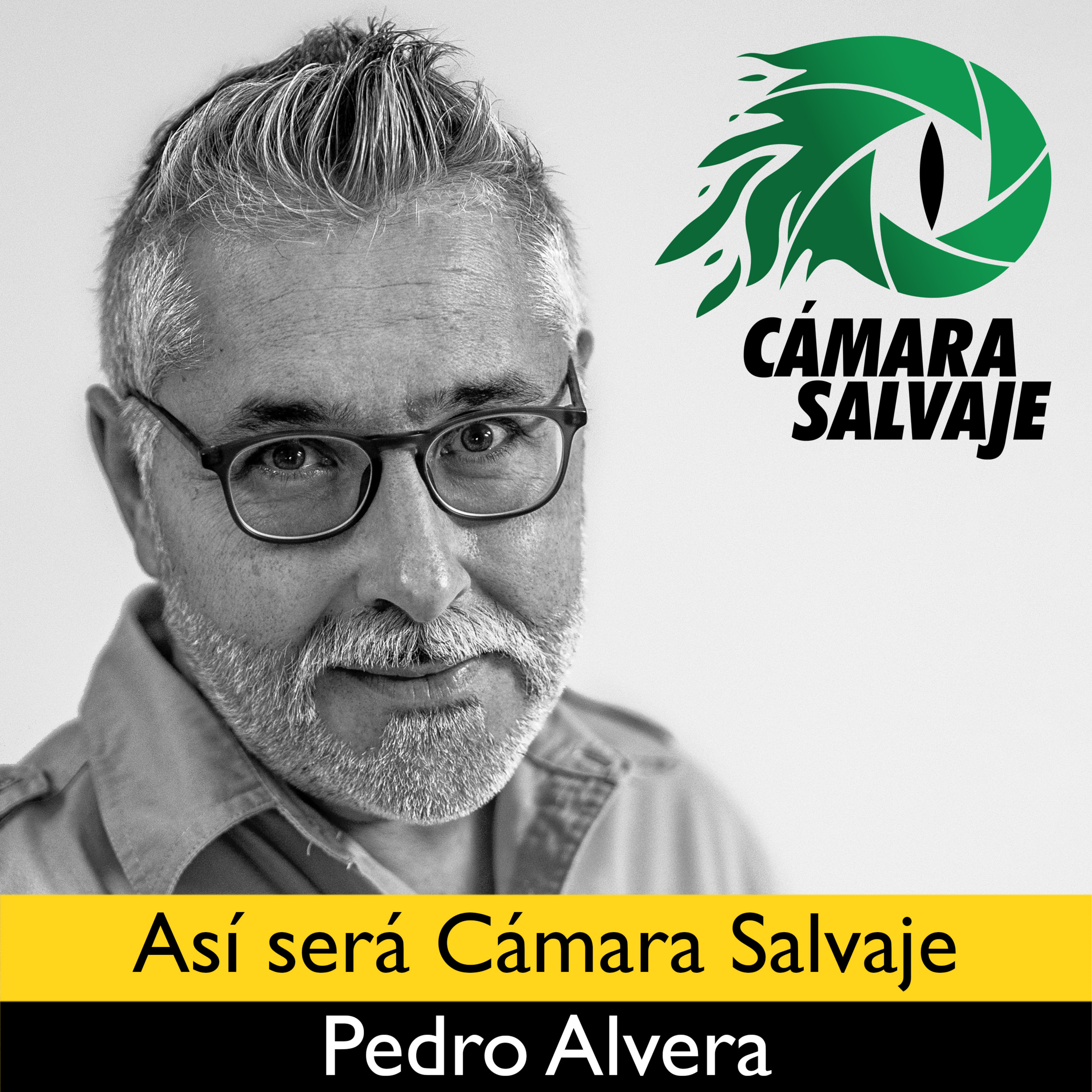 Cámara Salvaje
