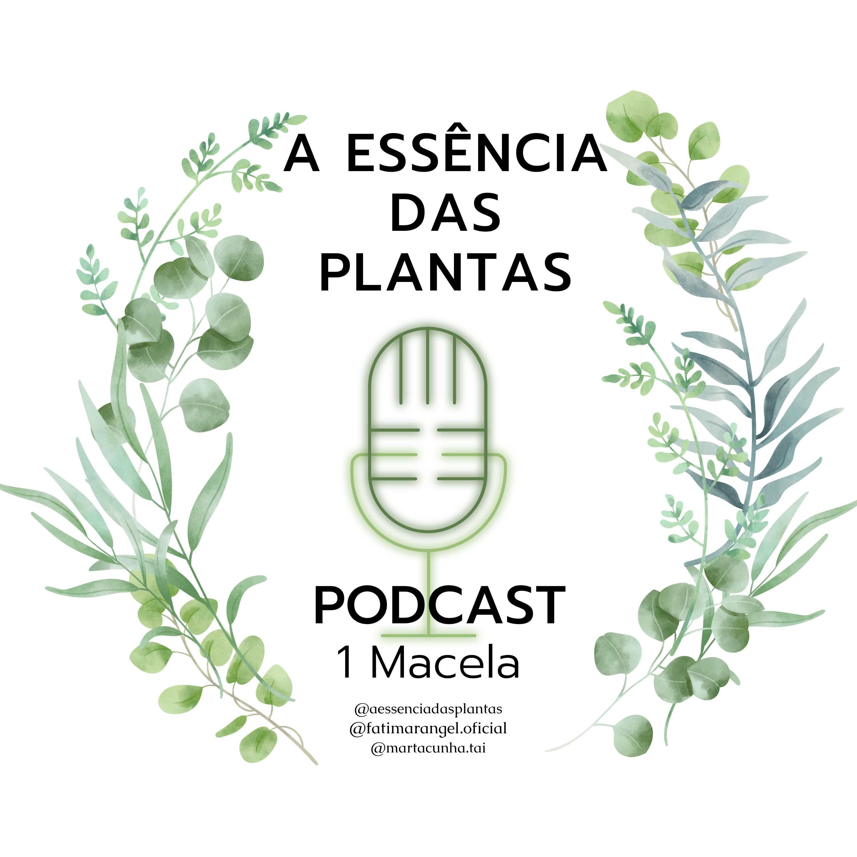 A Essência das plantas, a Saúde pela Natureza