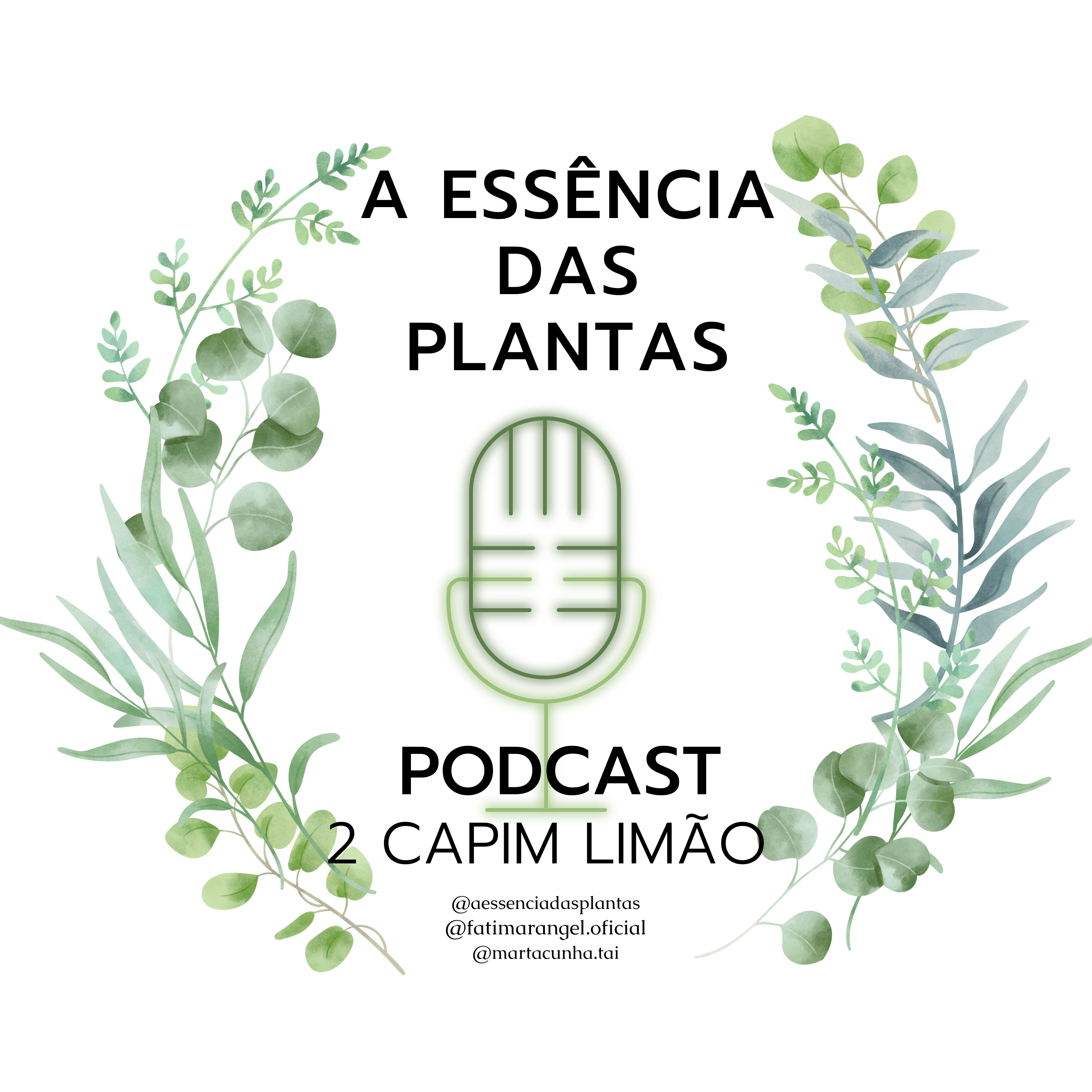 A Essência das plantas, a Saúde pela Natureza