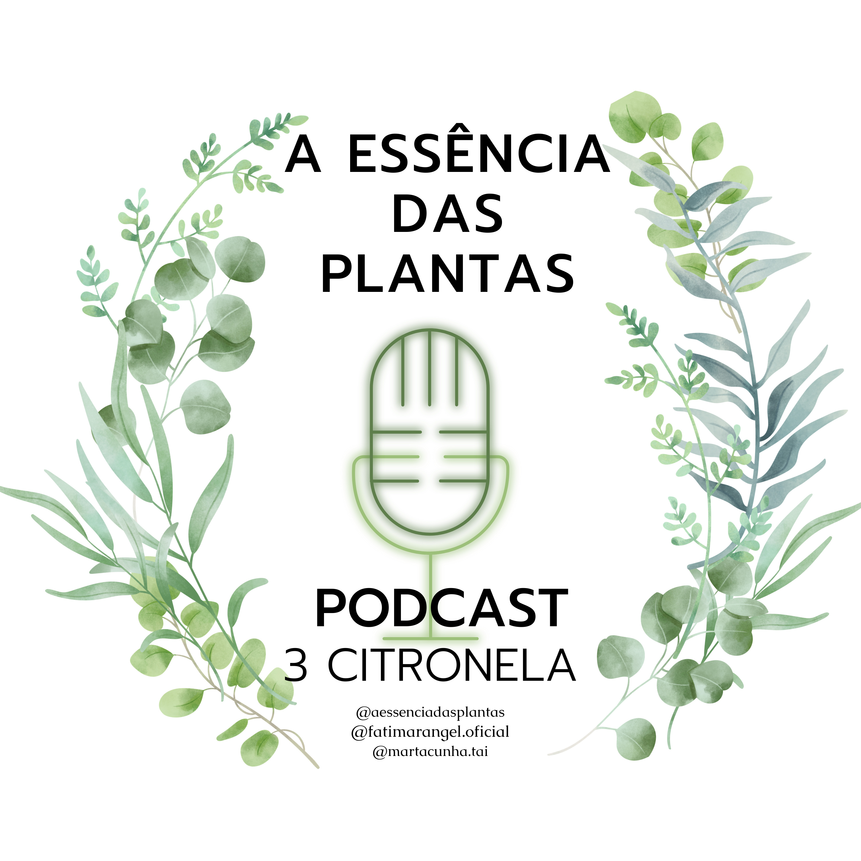A Essência das plantas, a Saúde pela Natureza