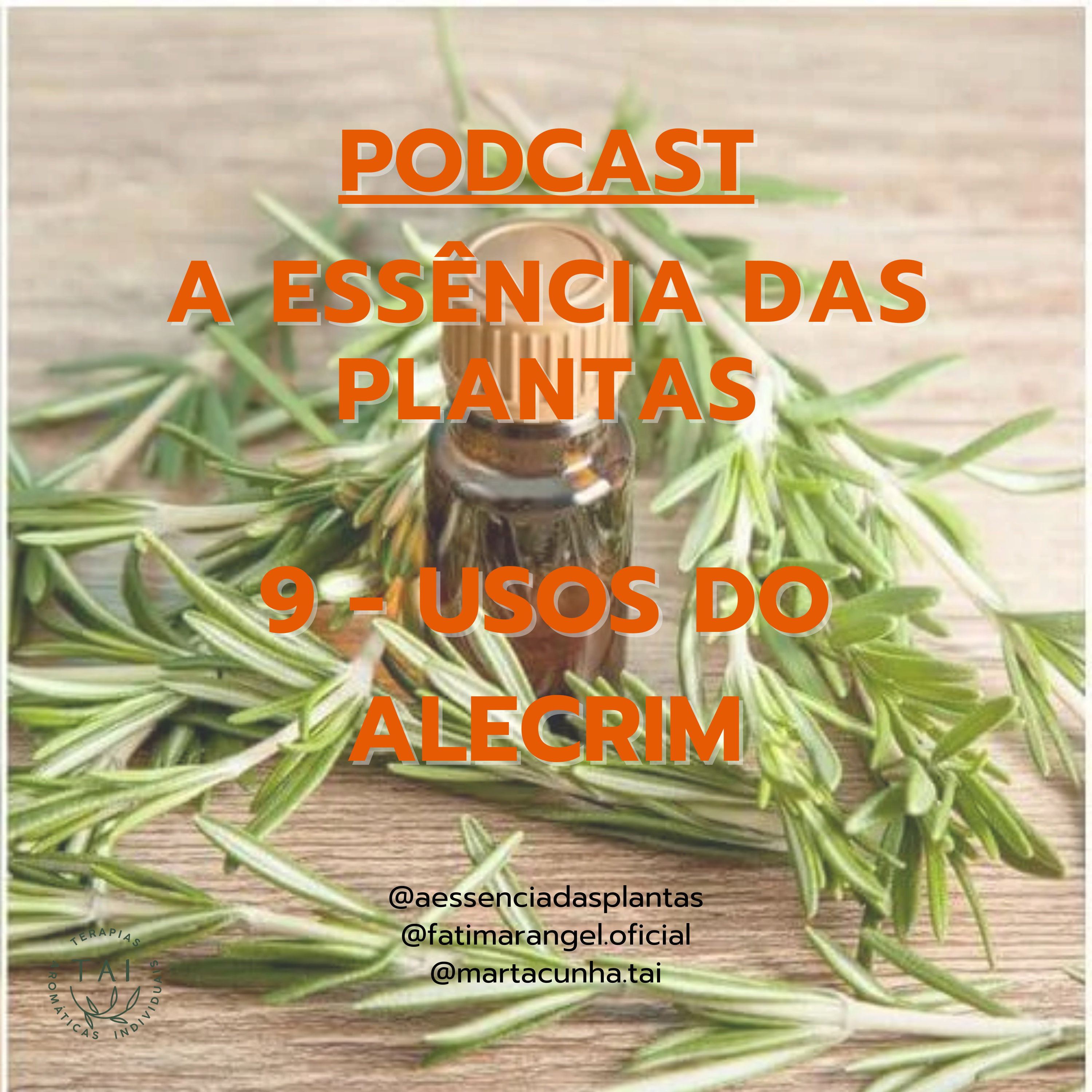 A Essência das plantas, a Saúde pela Natureza