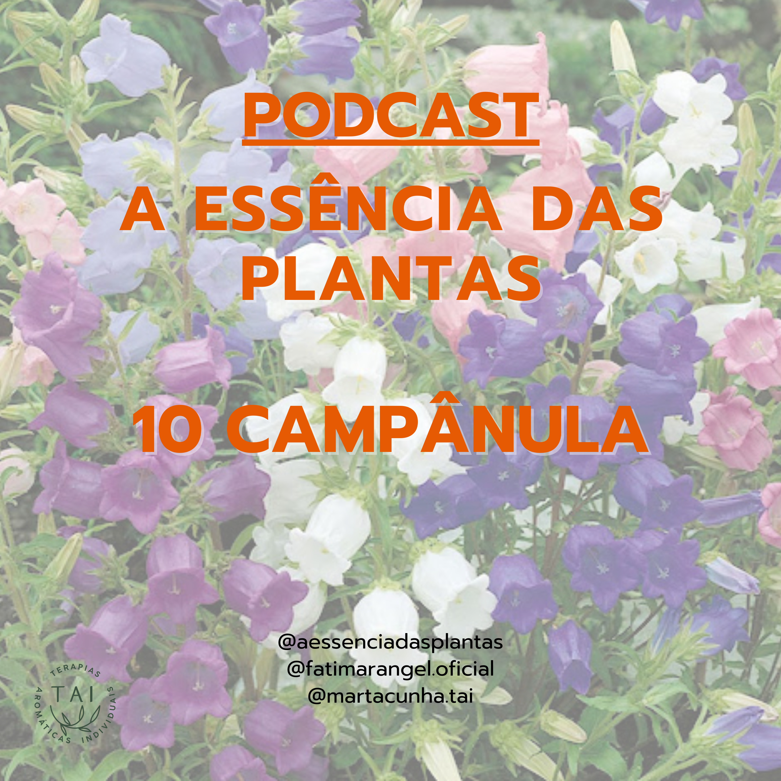 A Essência das plantas, a Saúde pela Natureza