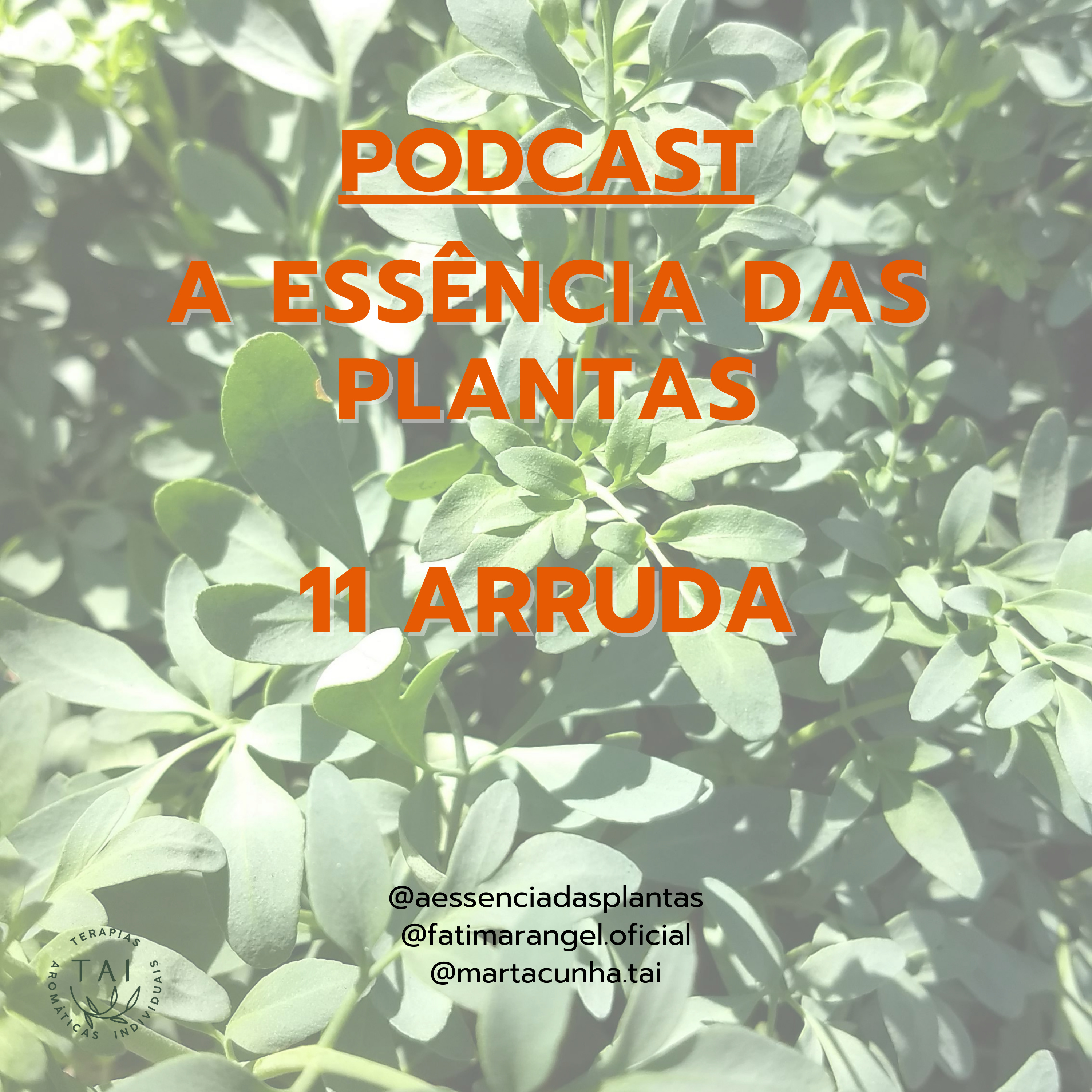 A Essência das plantas, a Saúde pela Natureza