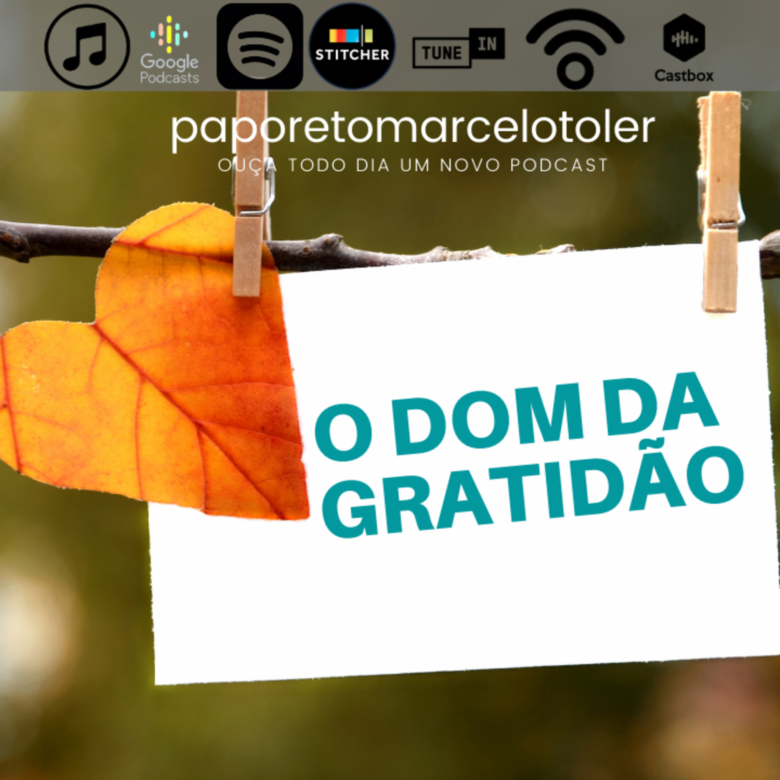 Marcelo Toler