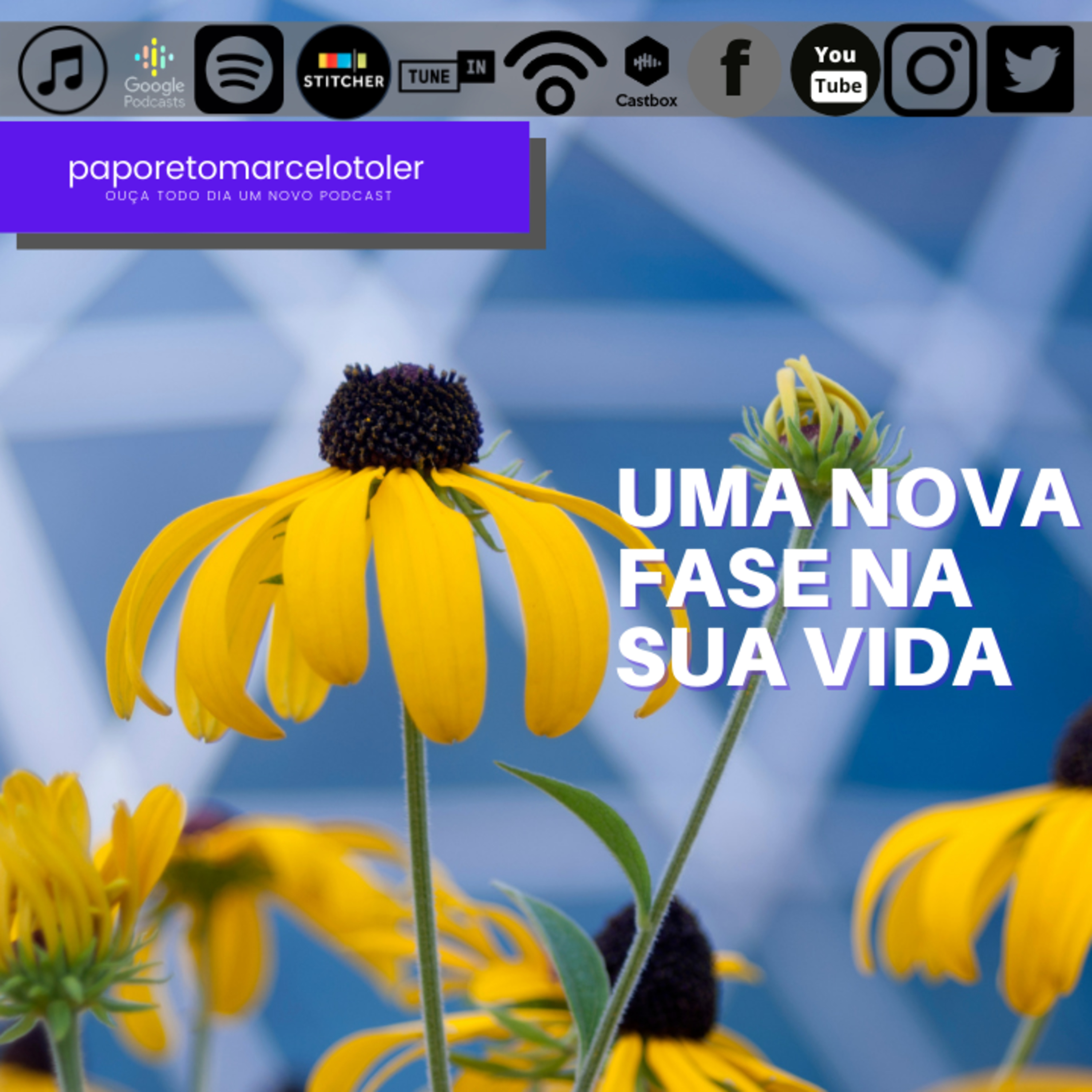 Marcelo Toler