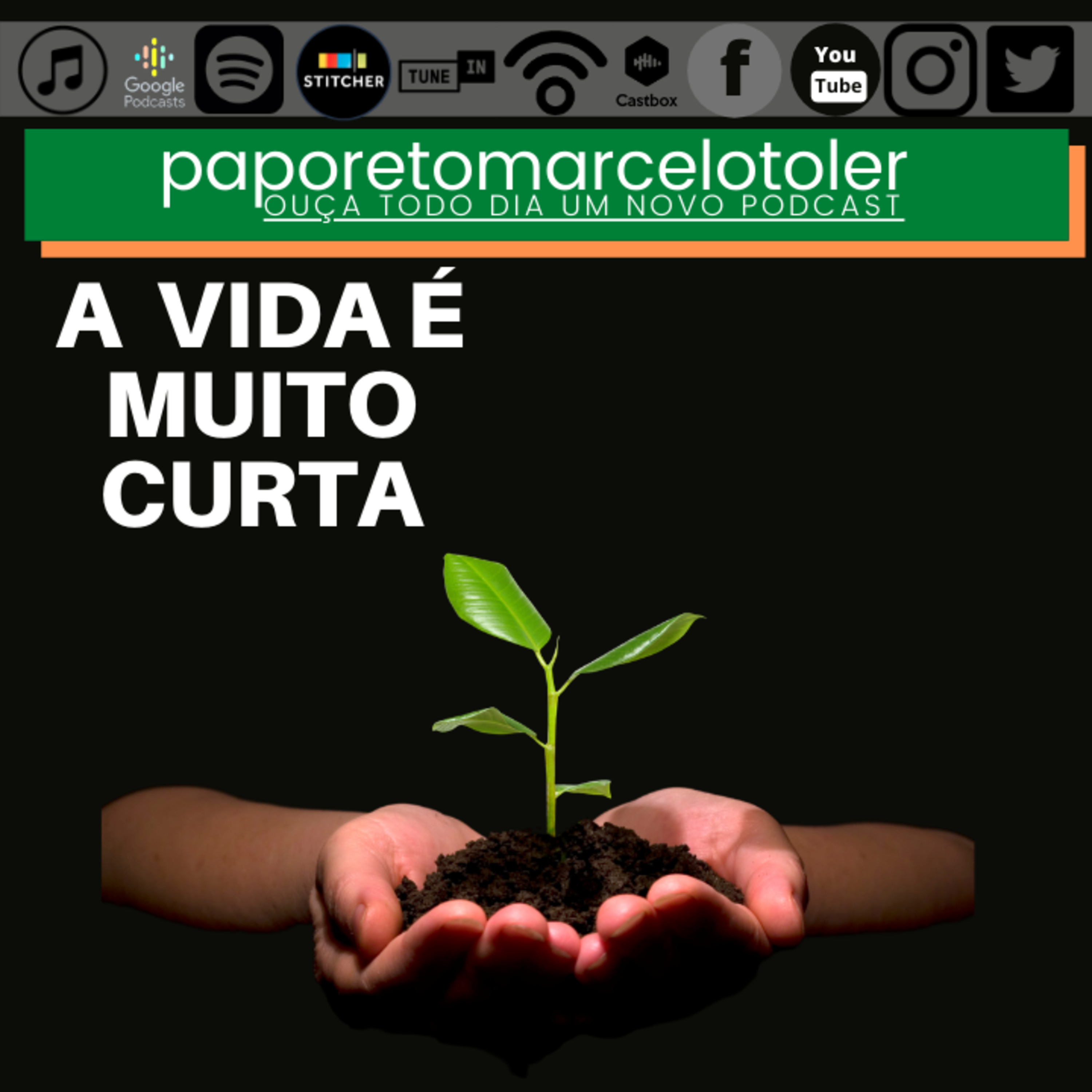 Marcelo Toler