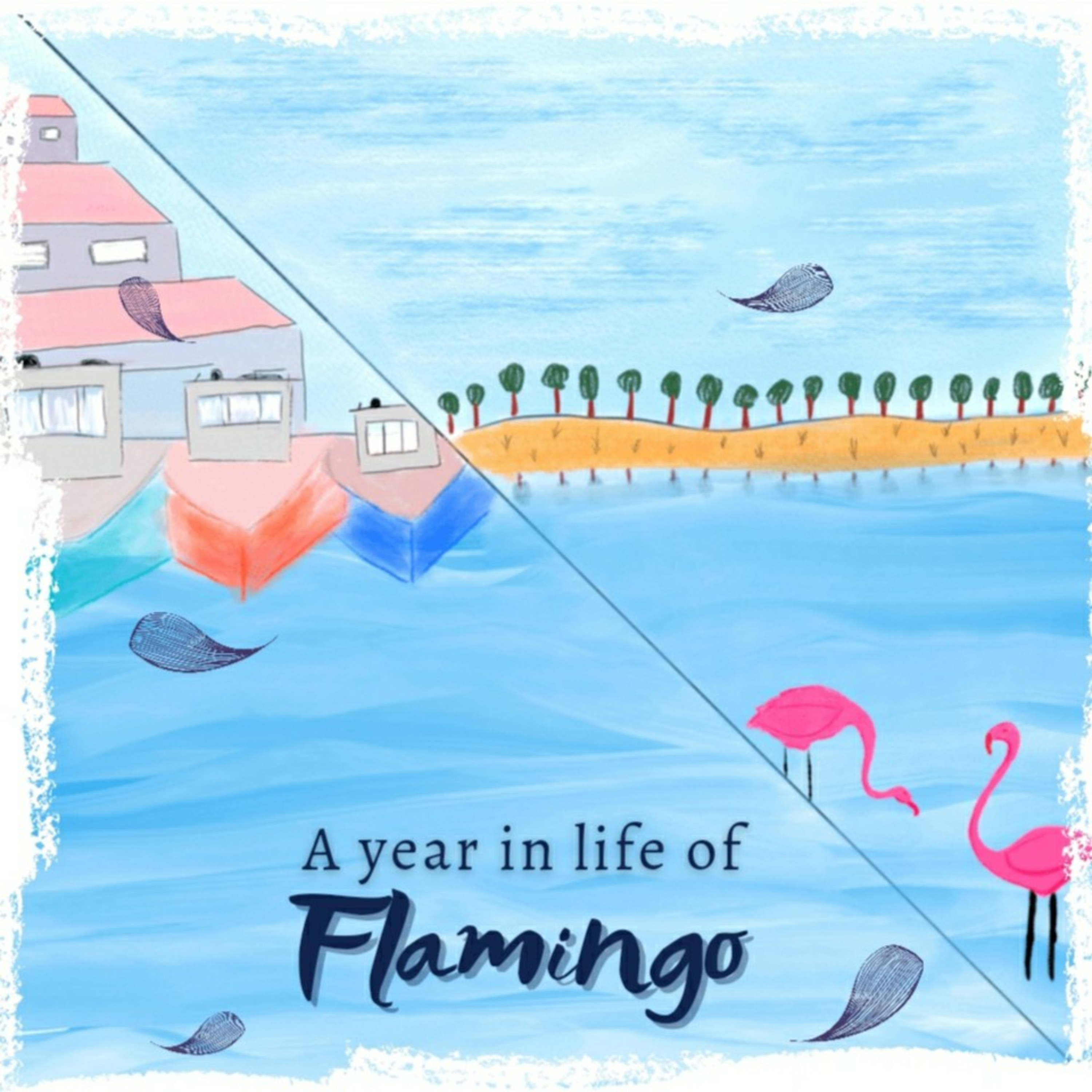Tape 2 - A year in life of Flamingo