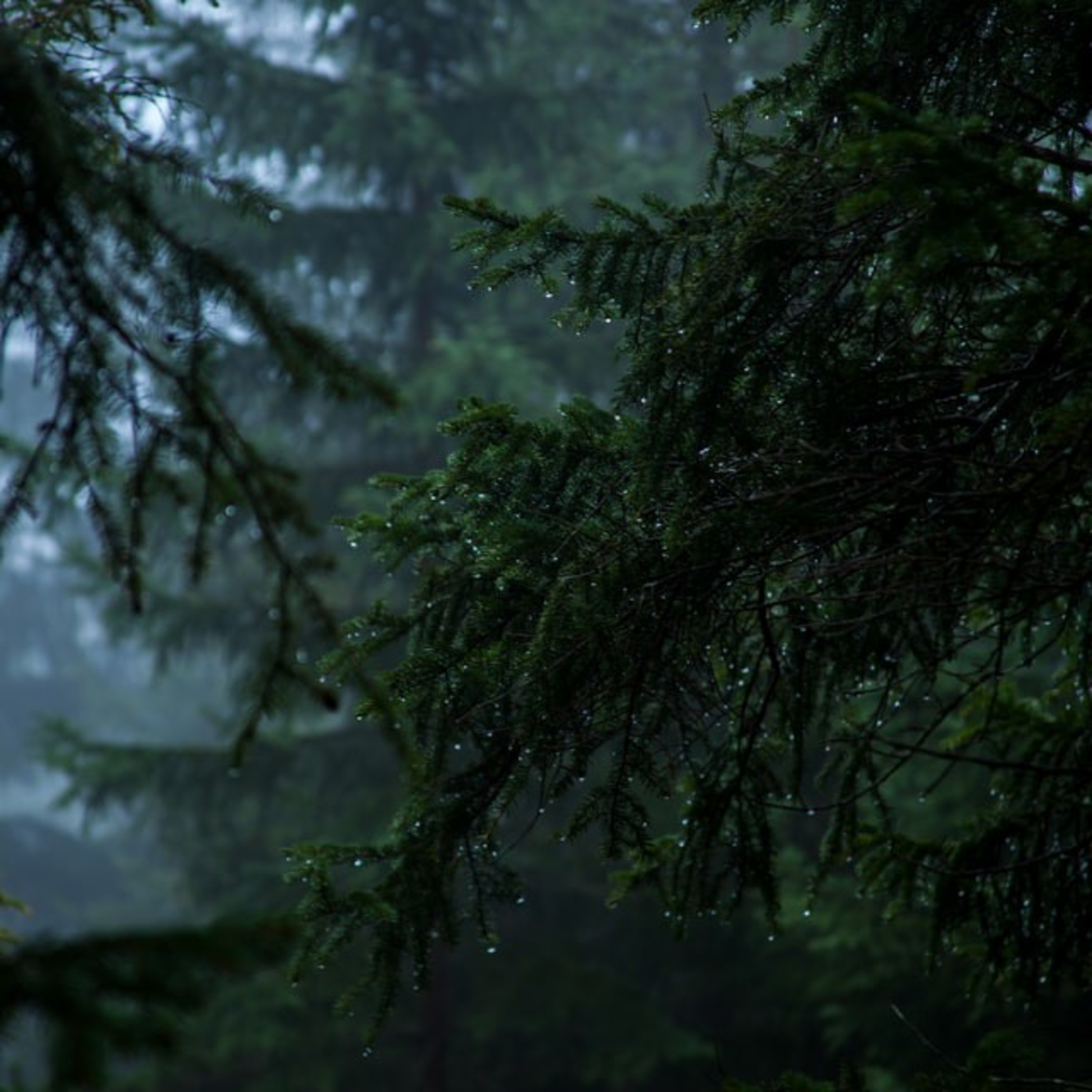 Natural sound