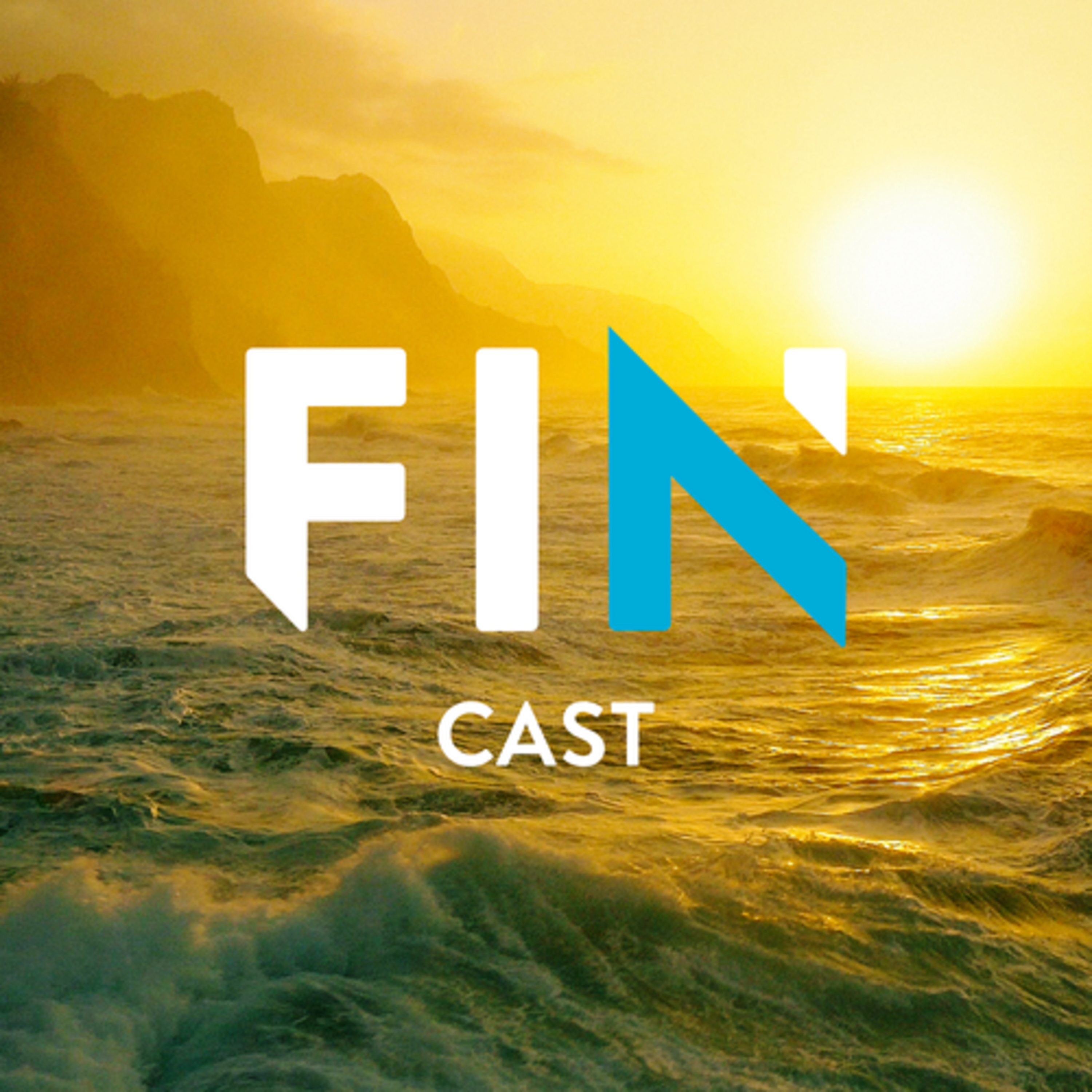 FINcast