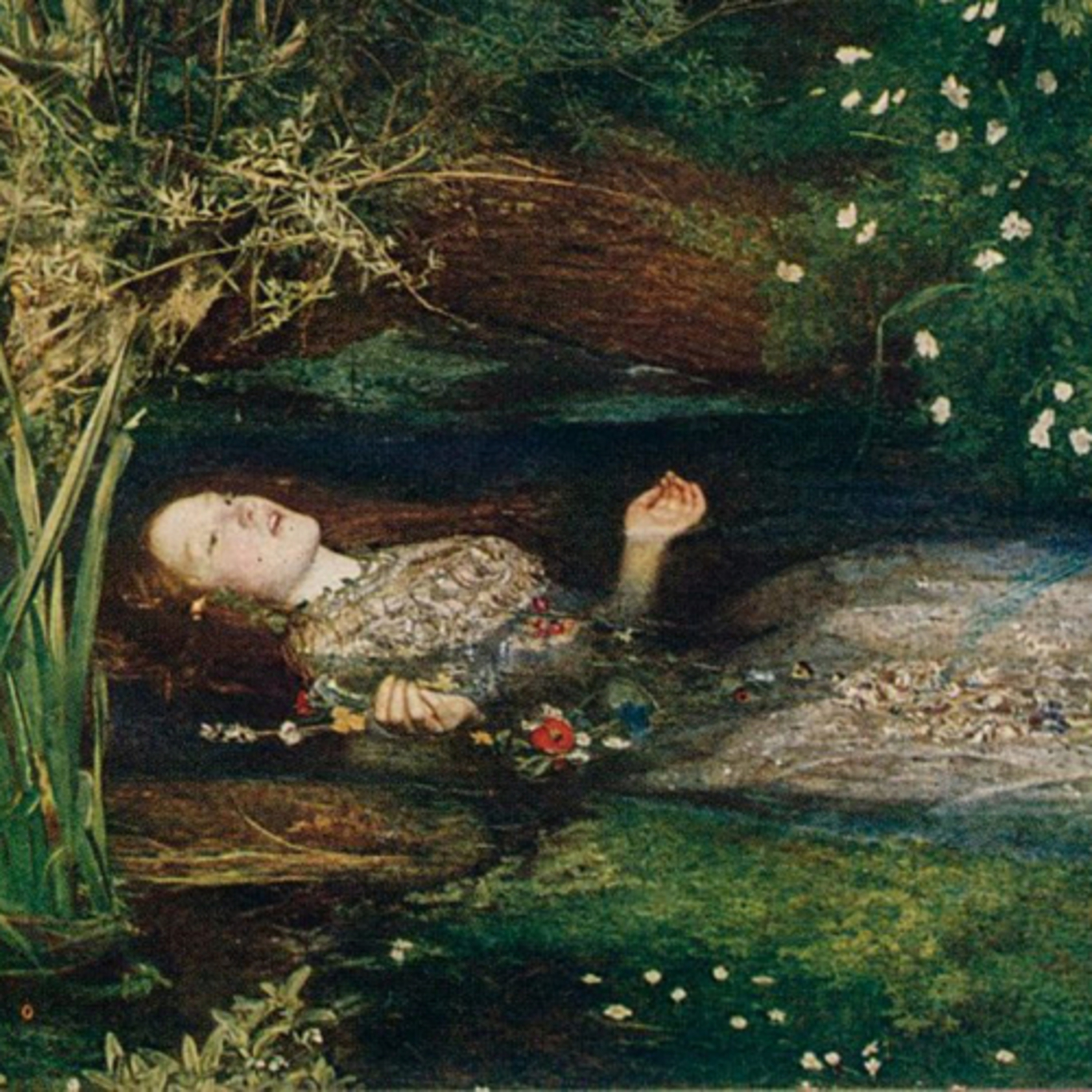 A Hopeless Endeavor: A Joanna Newsom Podcast