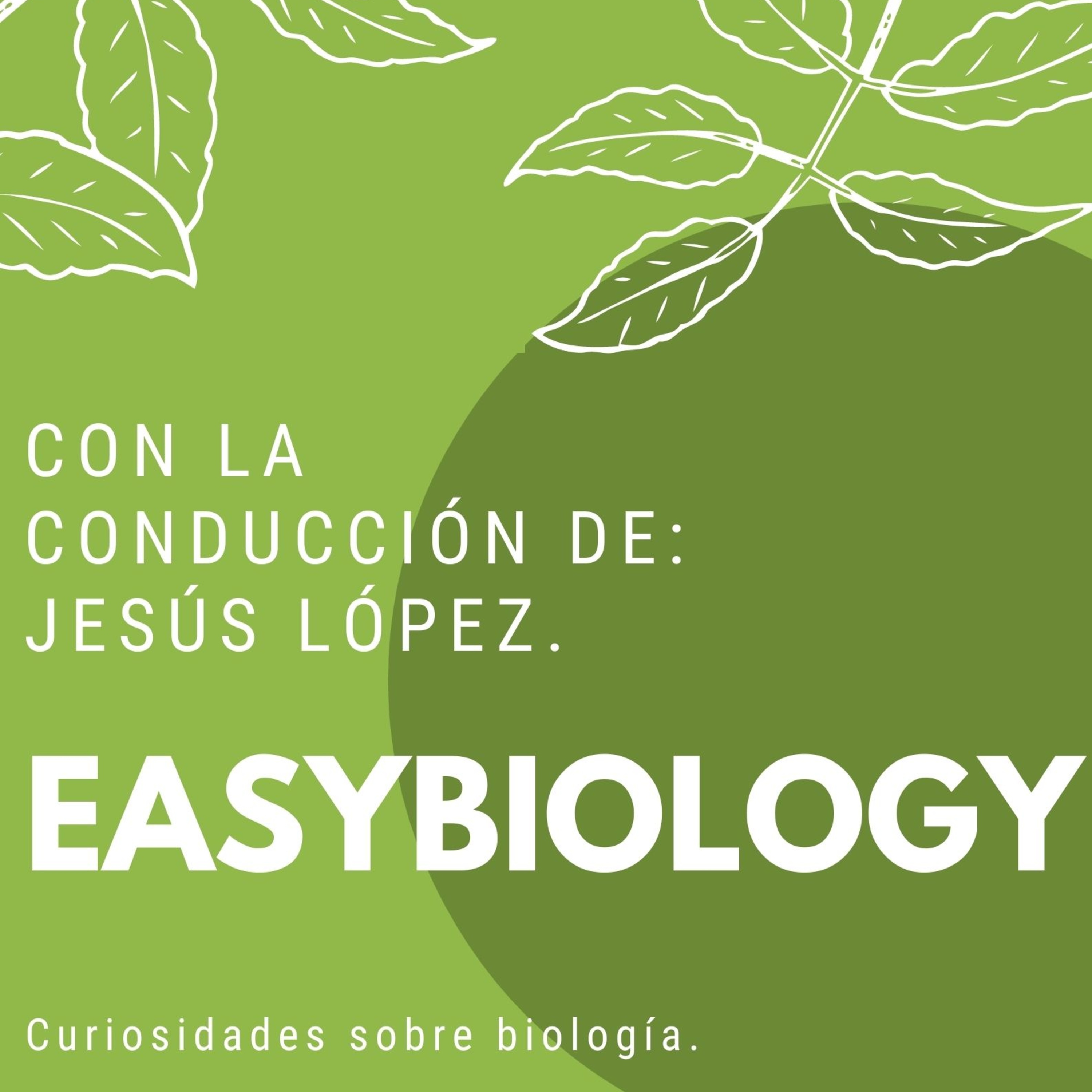 Compuestos Orgánicos