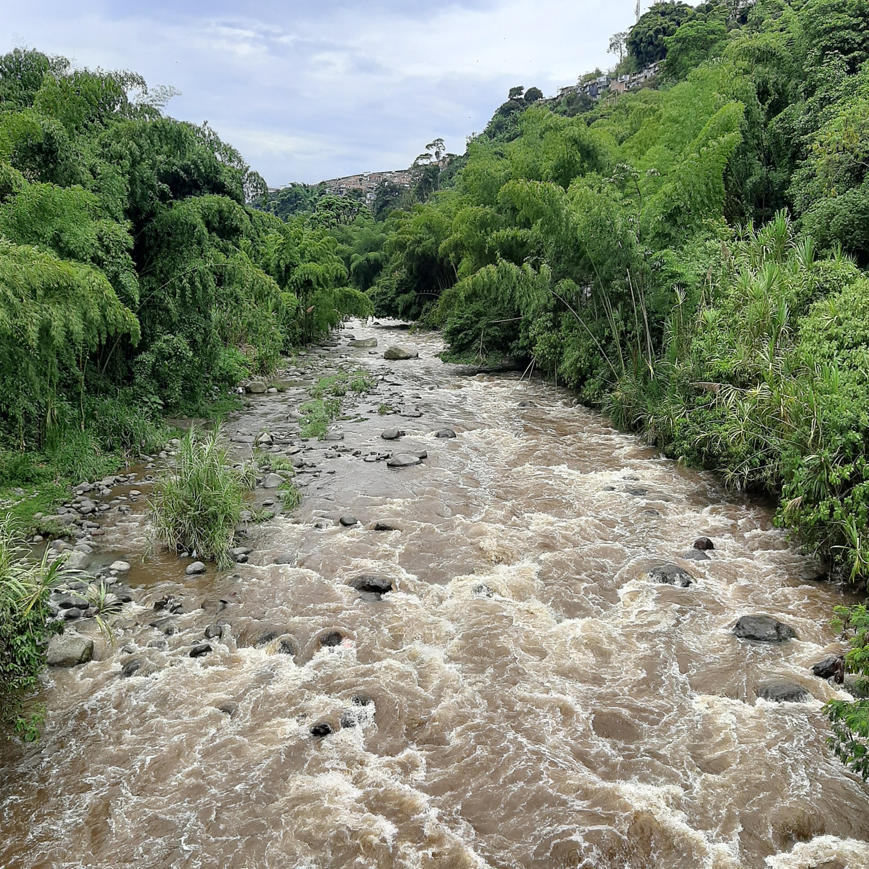 Agua, Ciencia y Sociedad