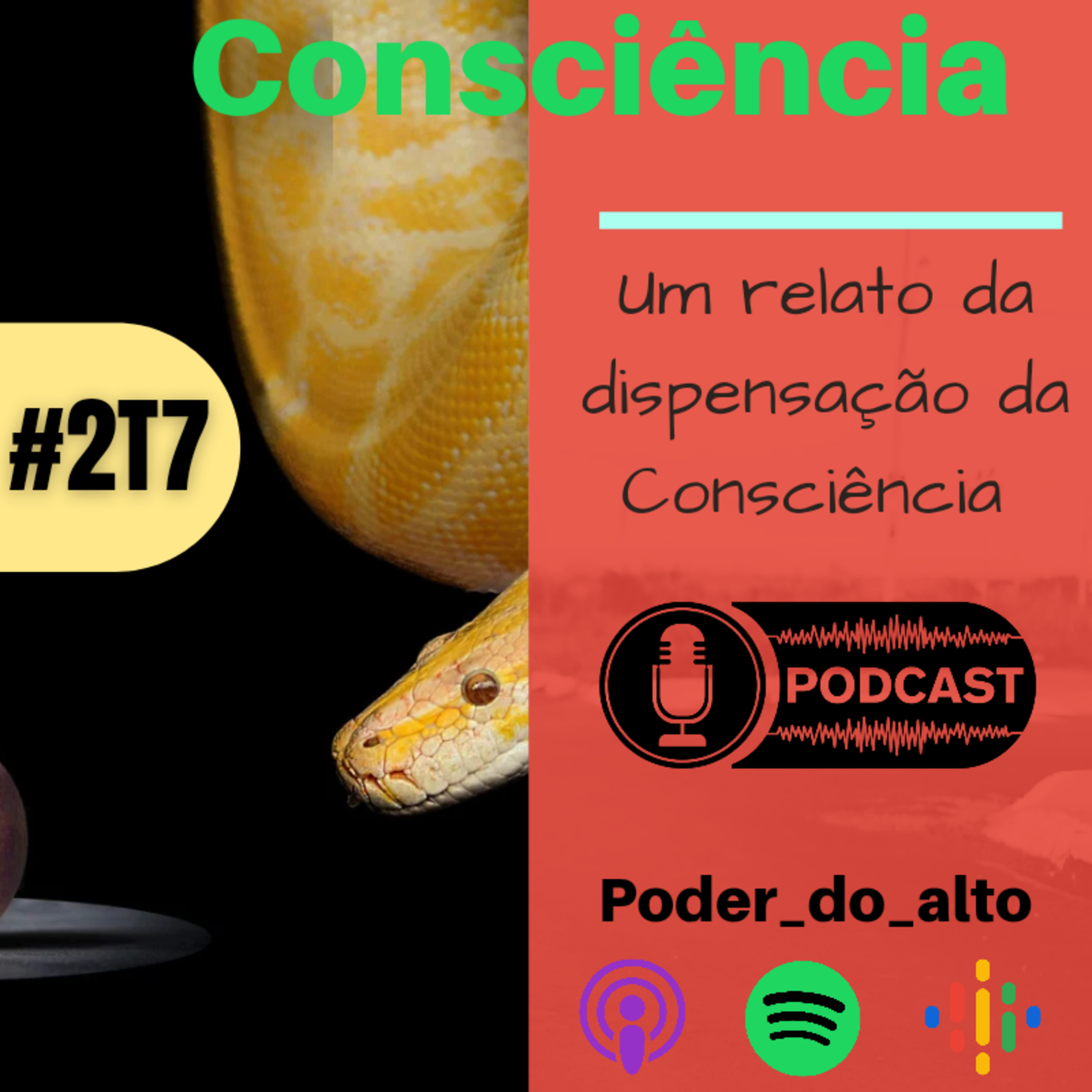 316podcast