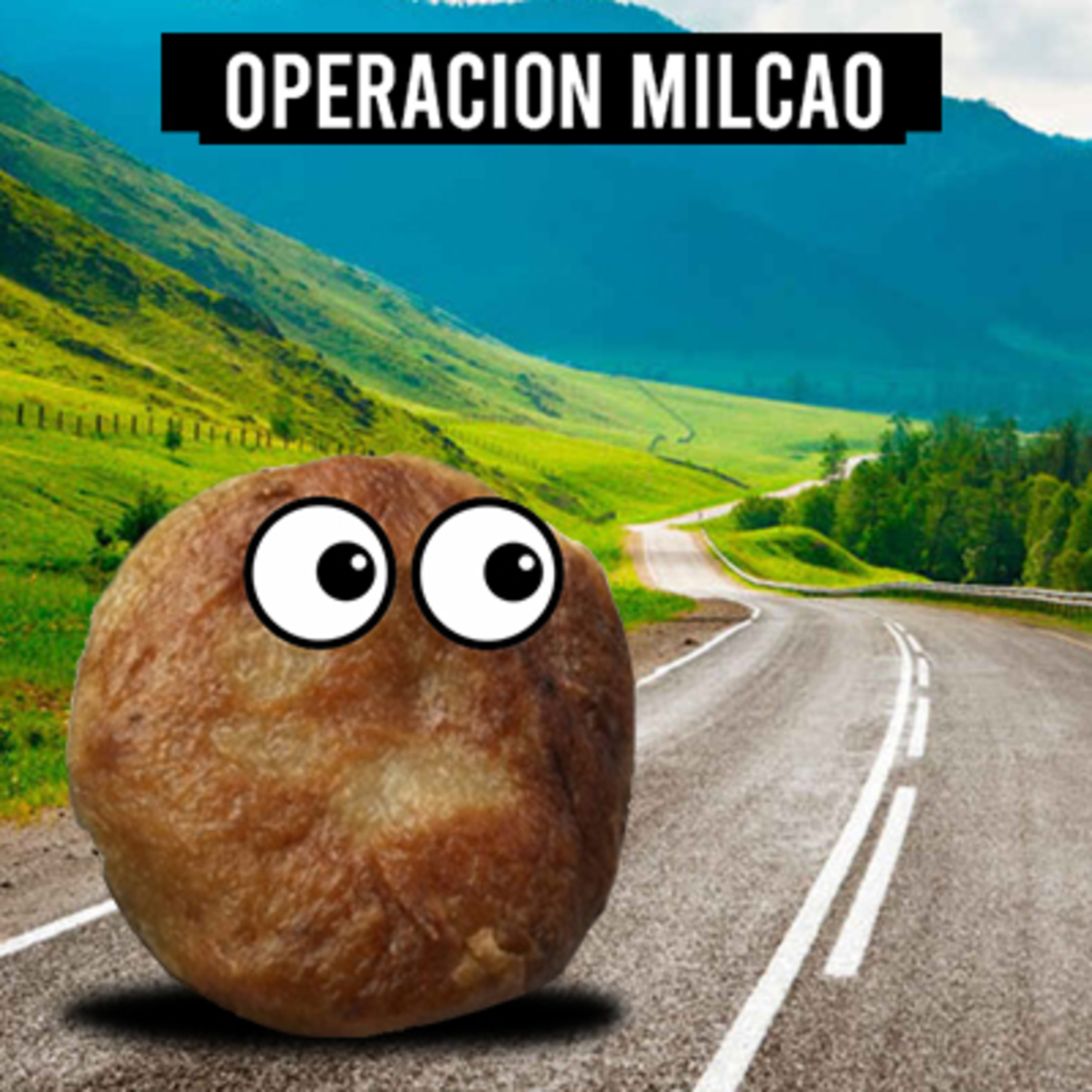 Operación Milcao