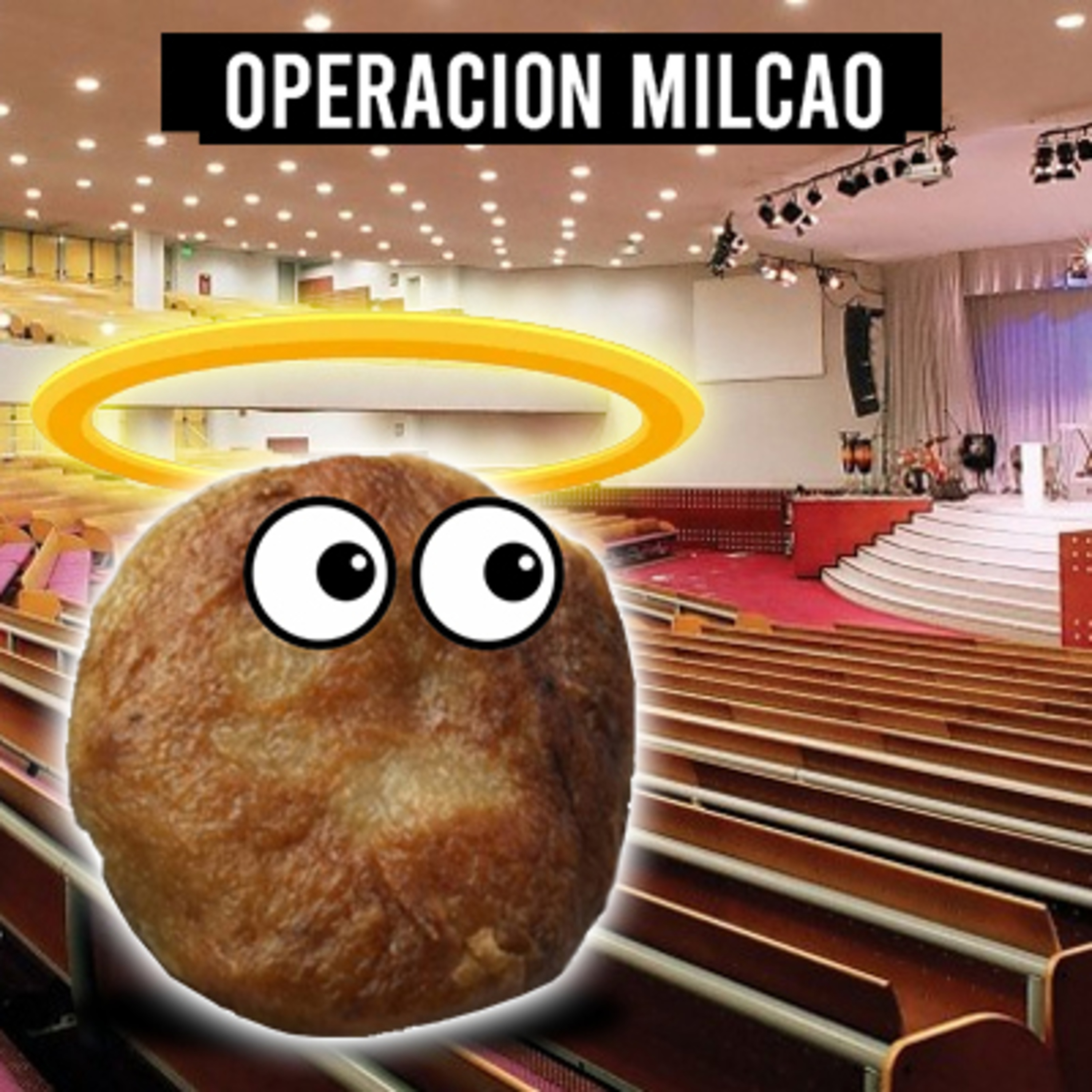 Operación Milcao