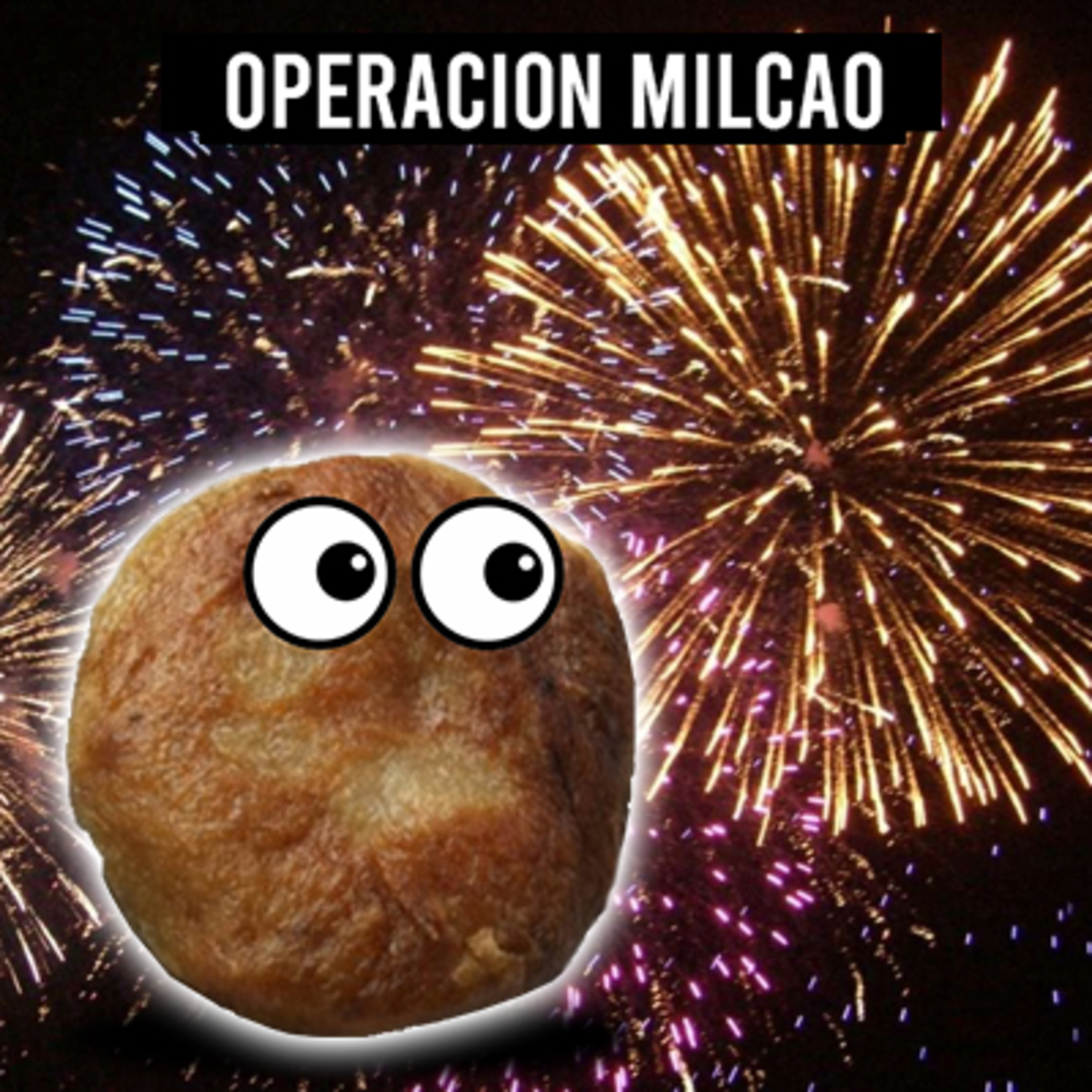 Operación Milcao
