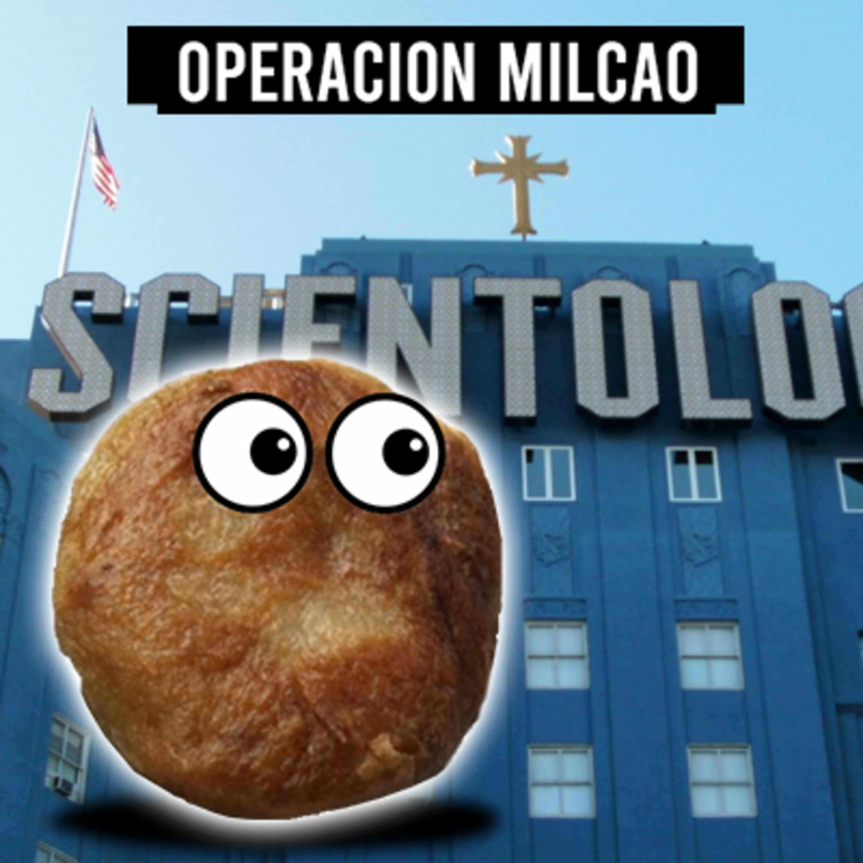 Operación Milcao