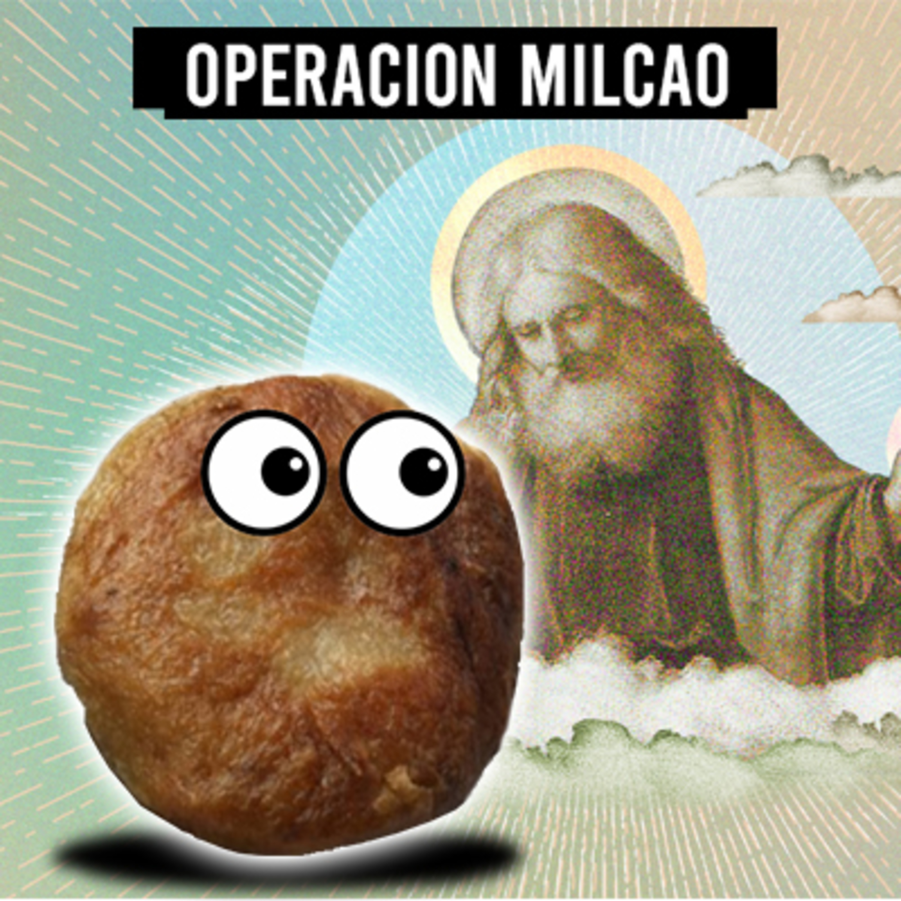 Operación Milcao