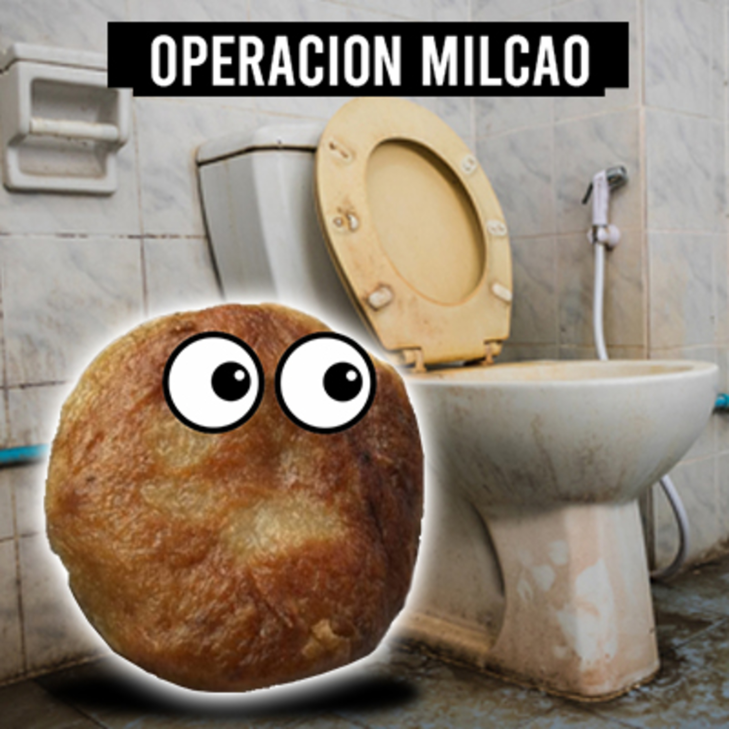 Operación Milcao