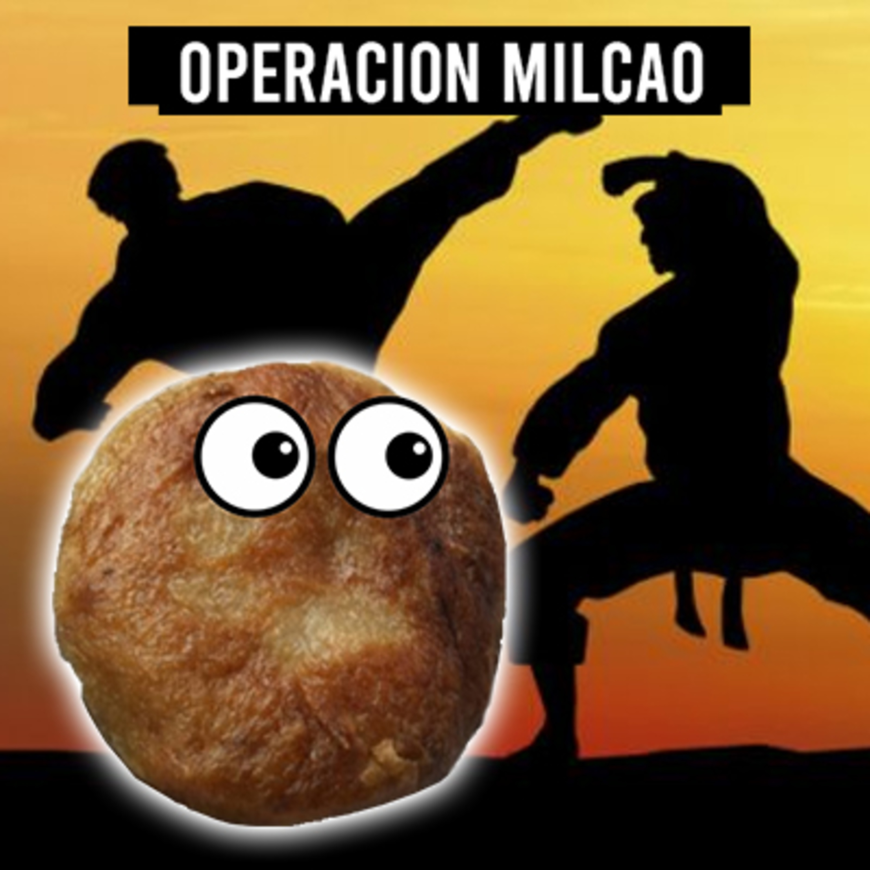 Operación Milcao