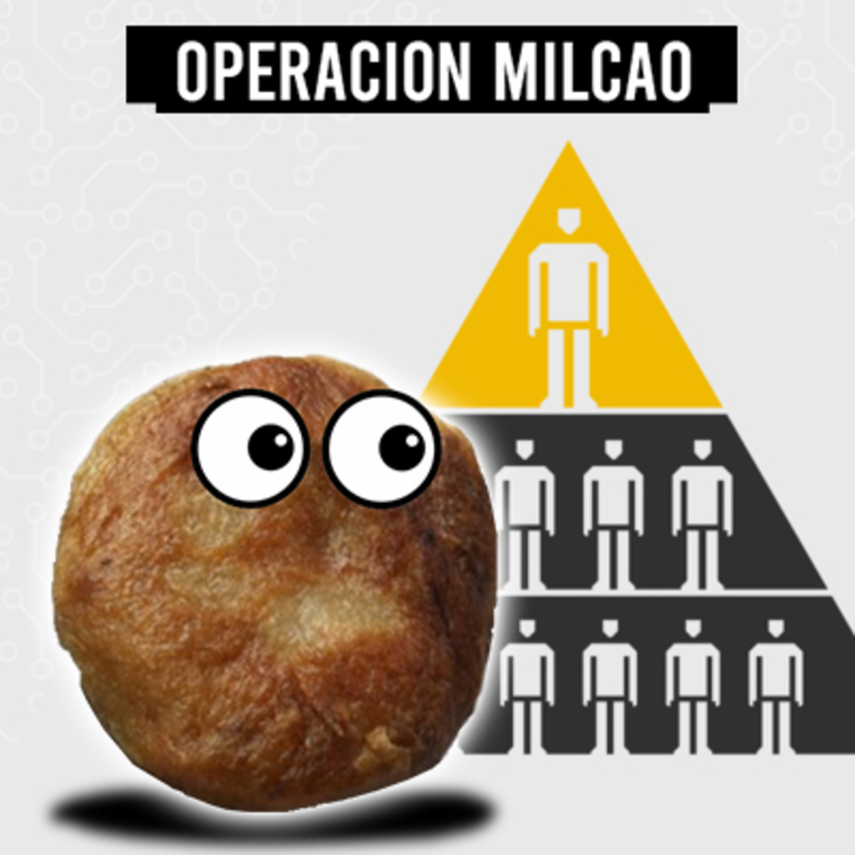 Operación Milcao